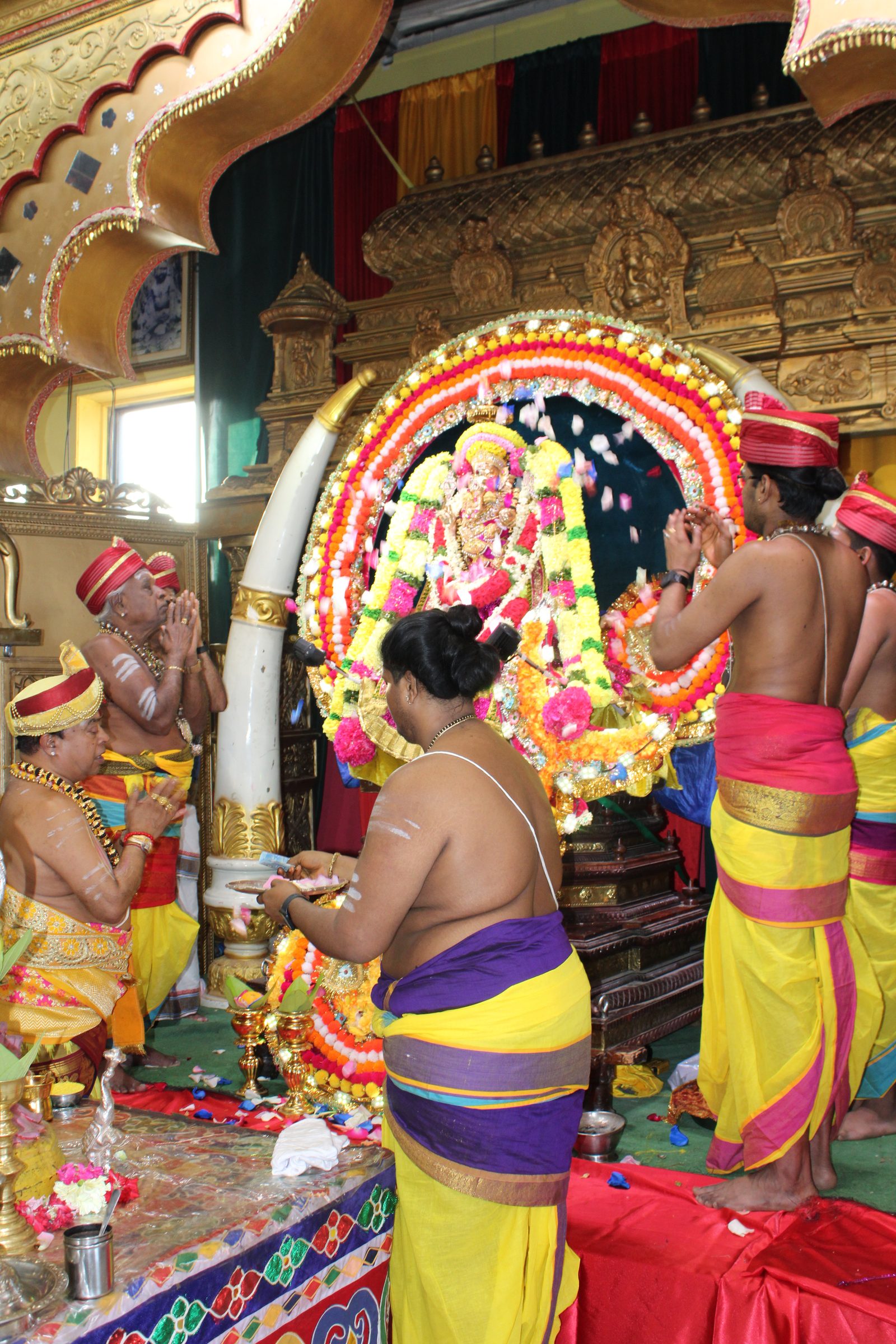 Festival 2024 photo