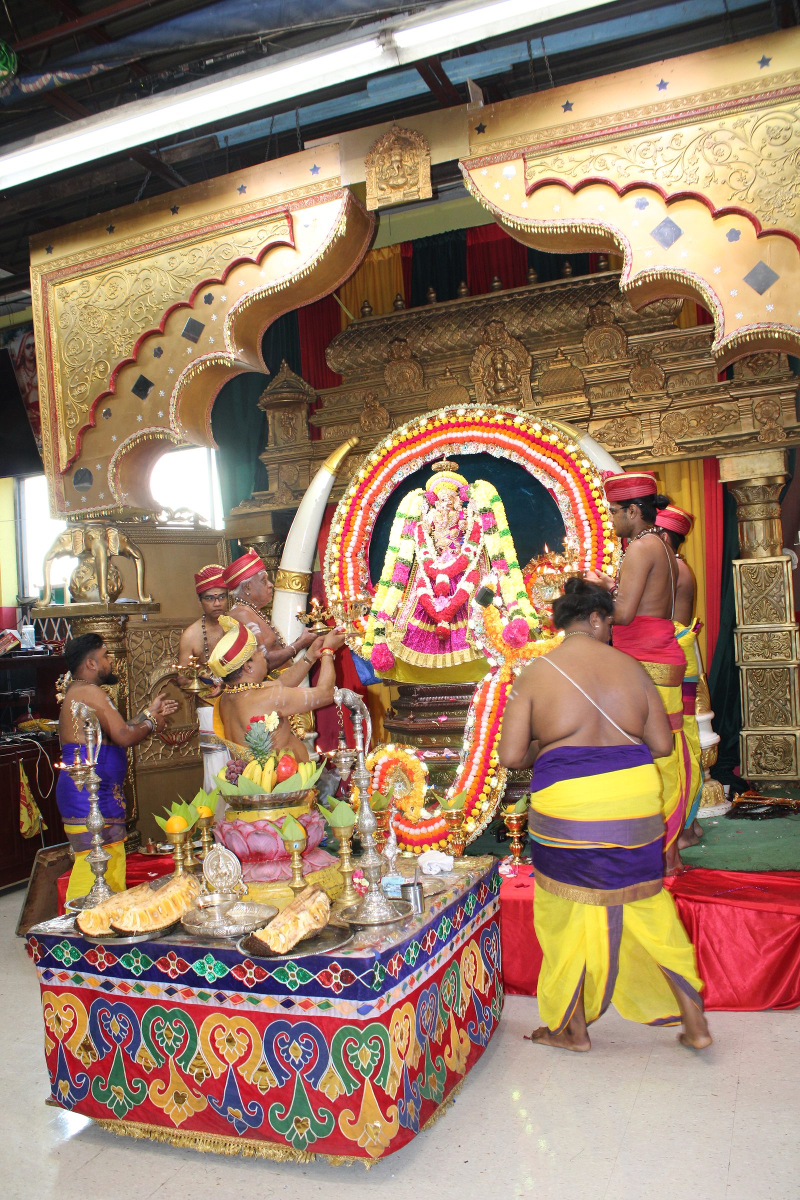 Festival 2024 photo