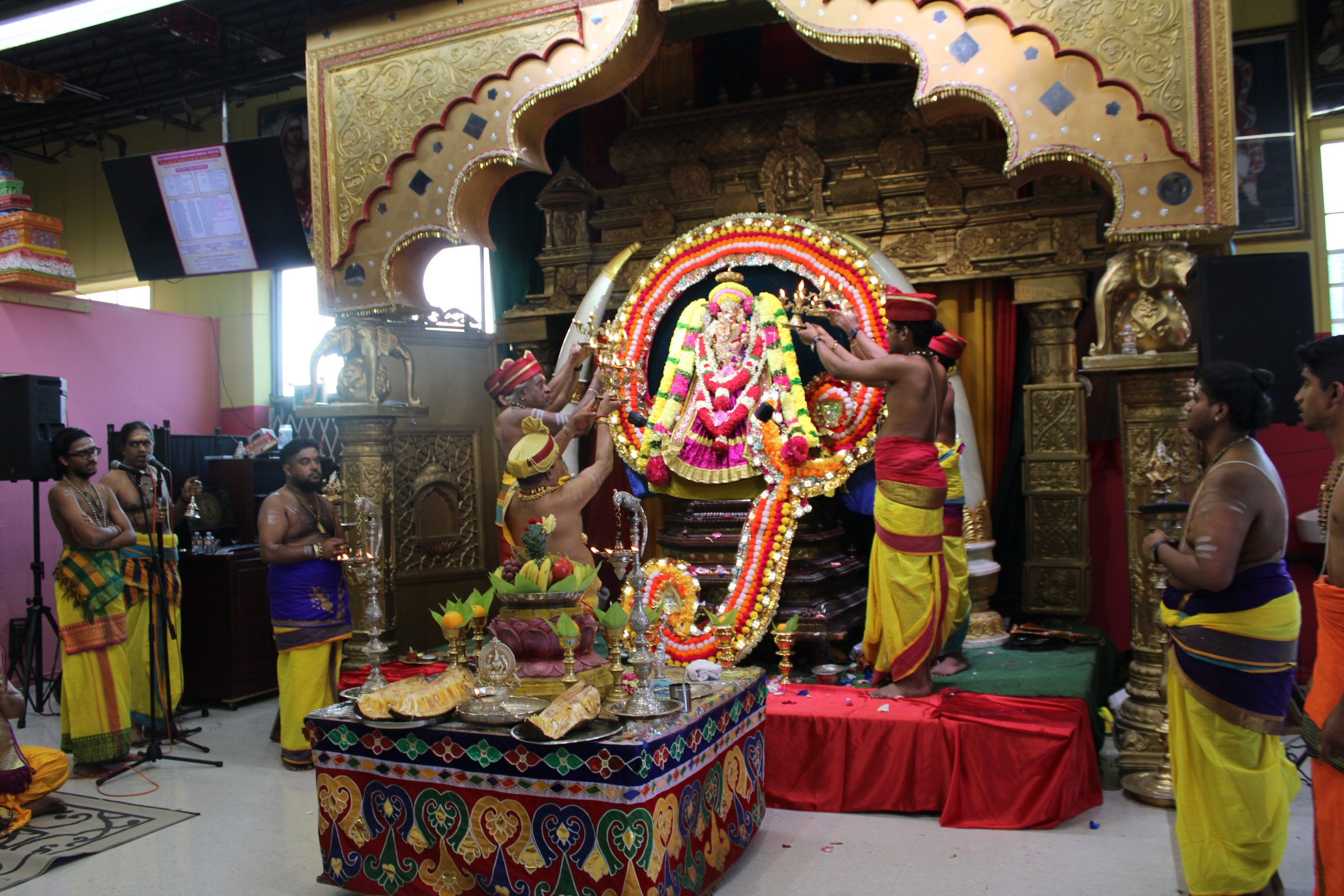 Festival 2024 photo