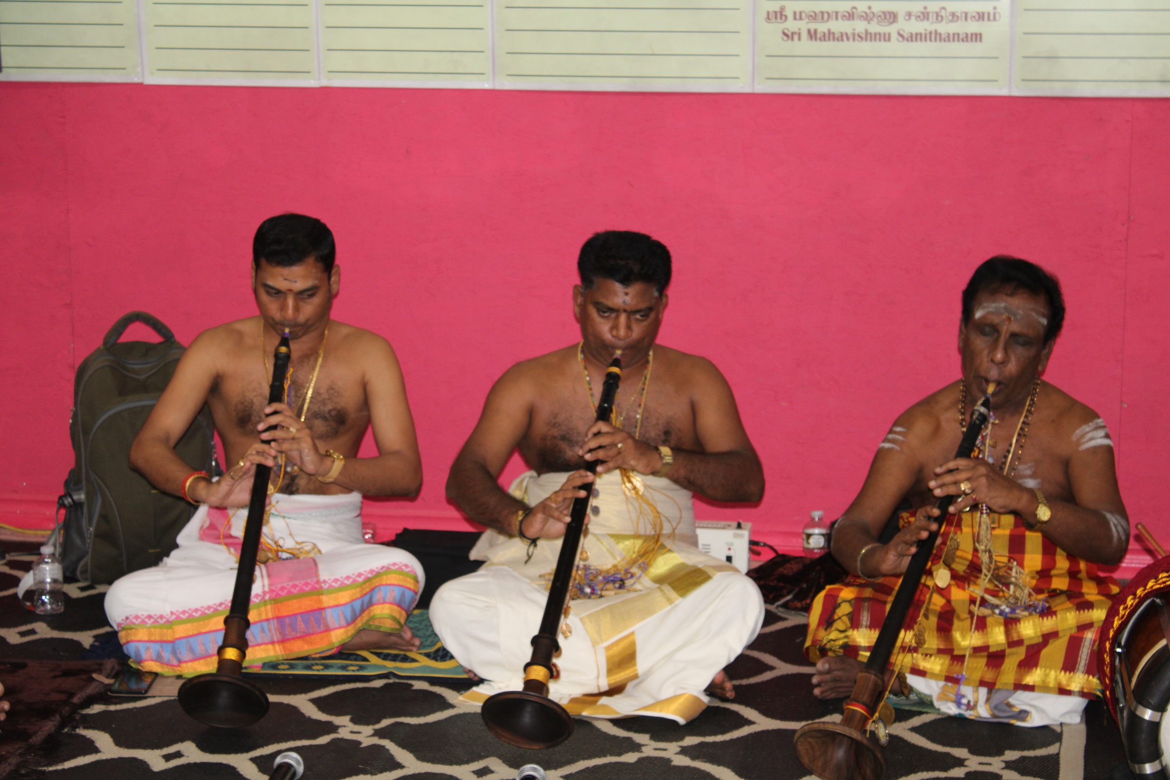 Festival 2024 photo