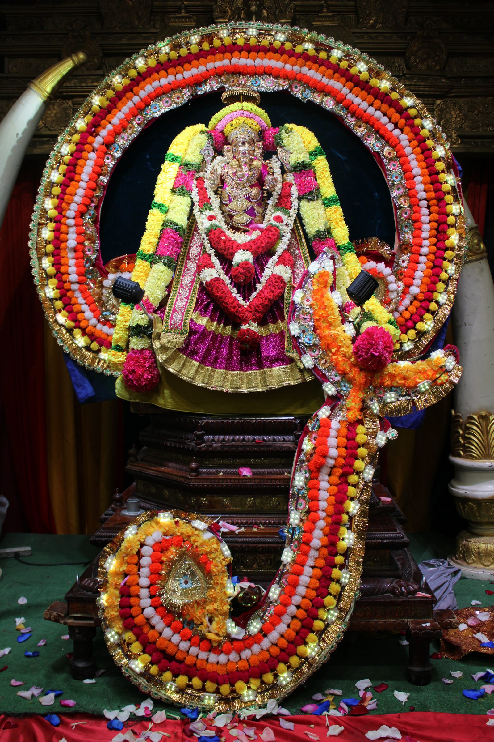 Festival 2024 photo
