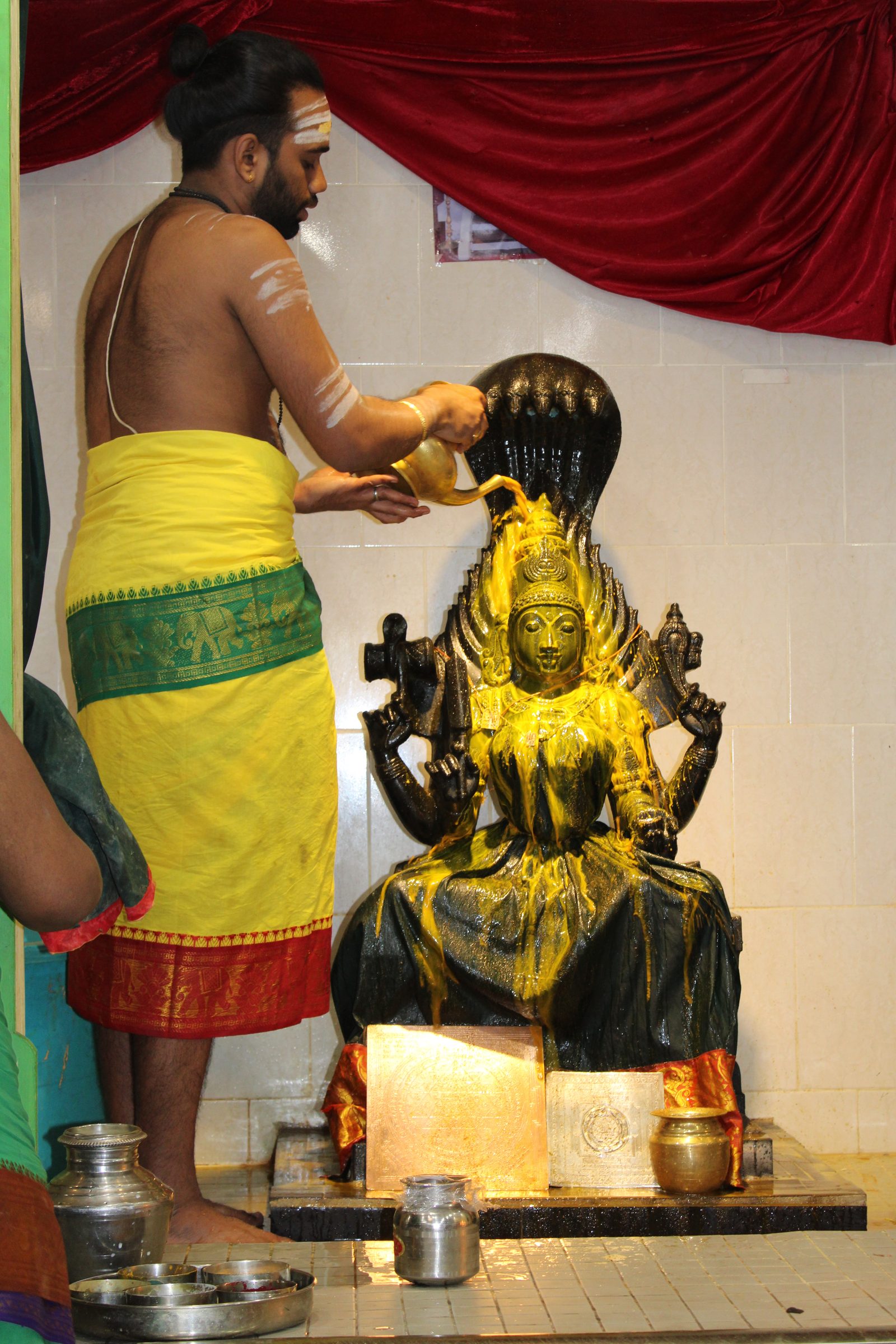 Festival 2024 photo