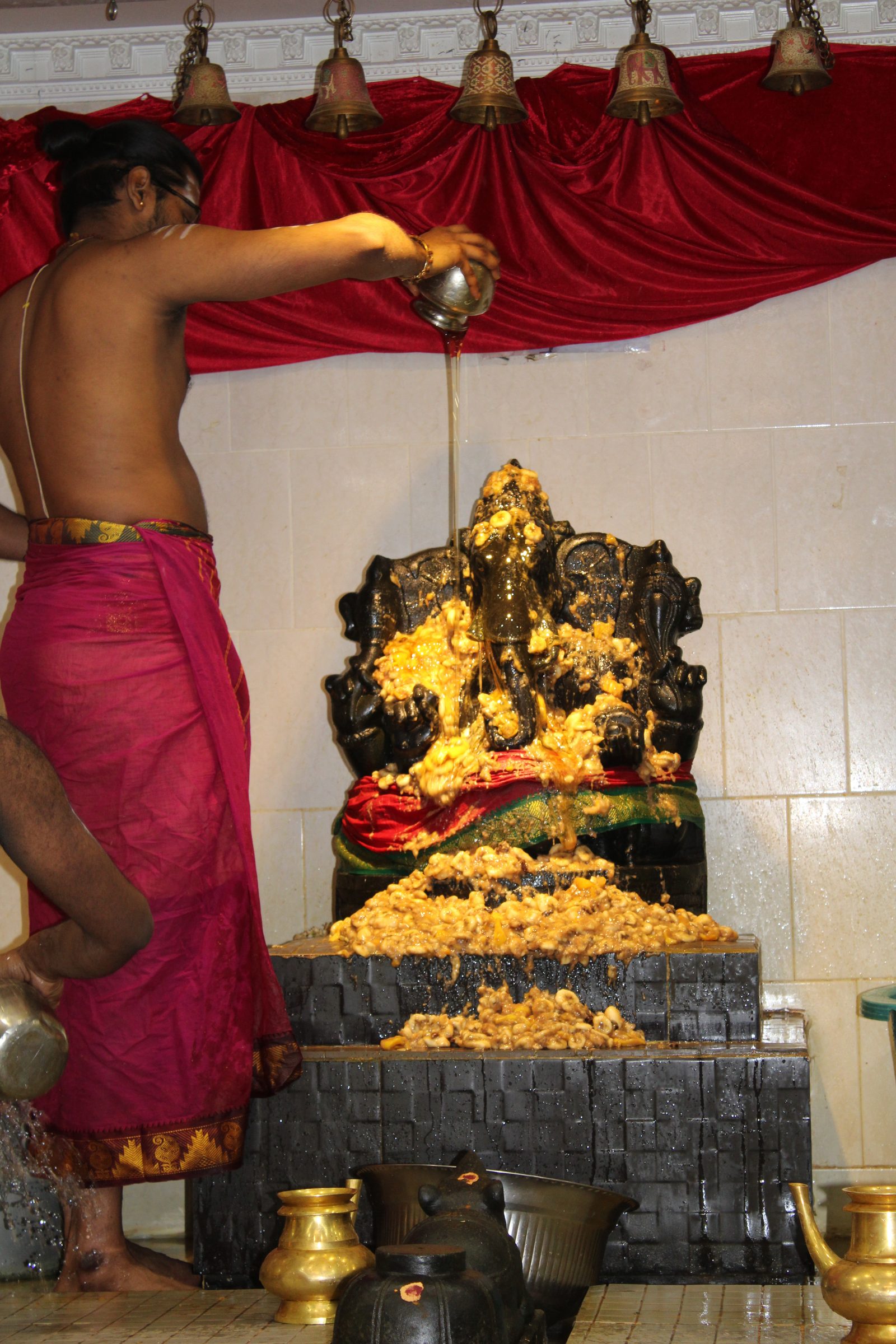 Festival 2024 photo
