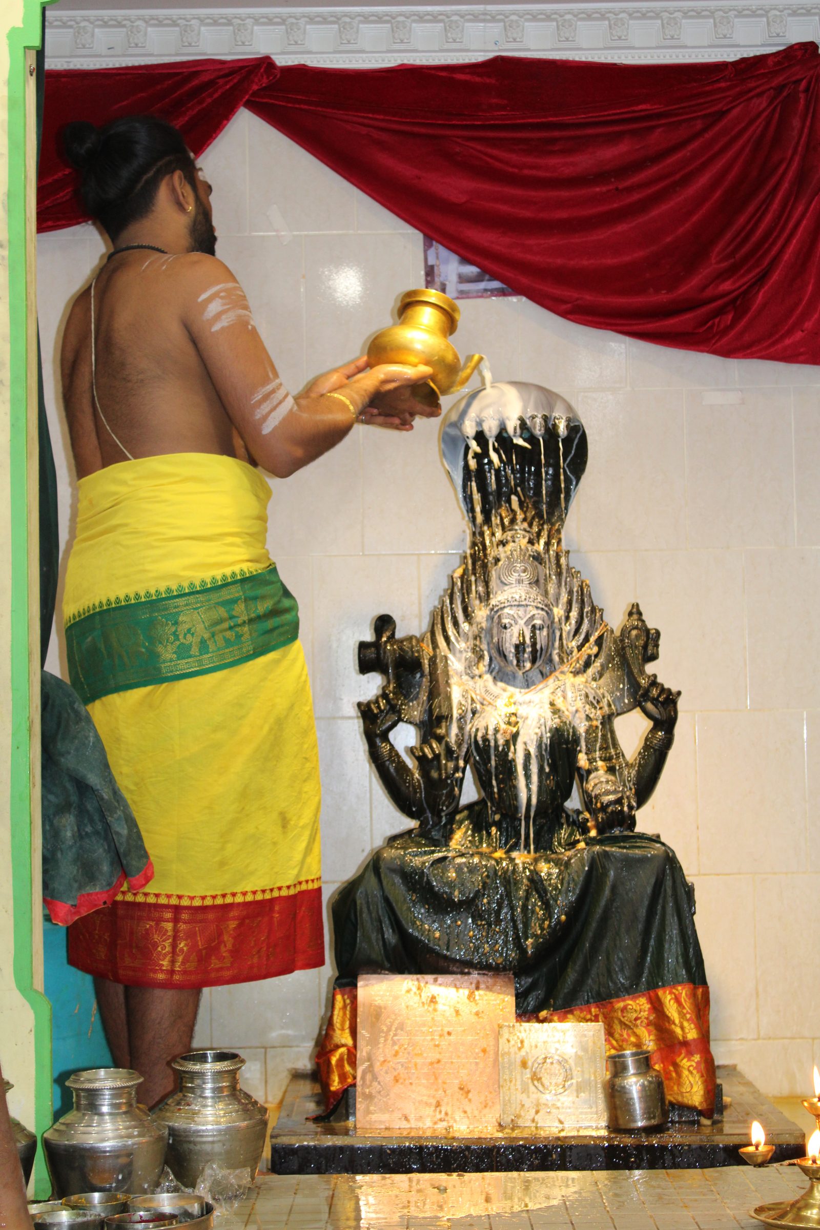 Festival 2024 photo