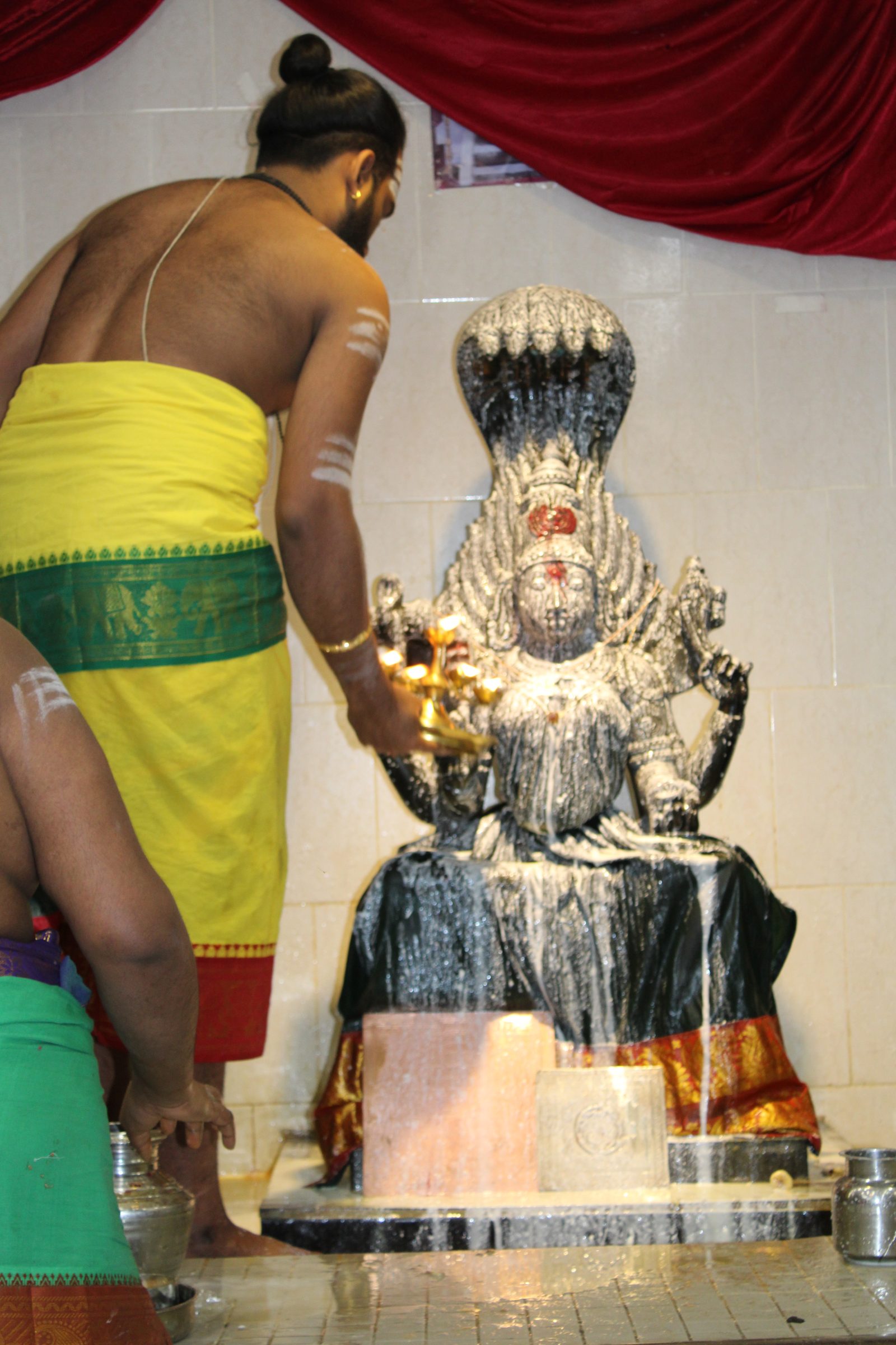 Festival 2024 photo