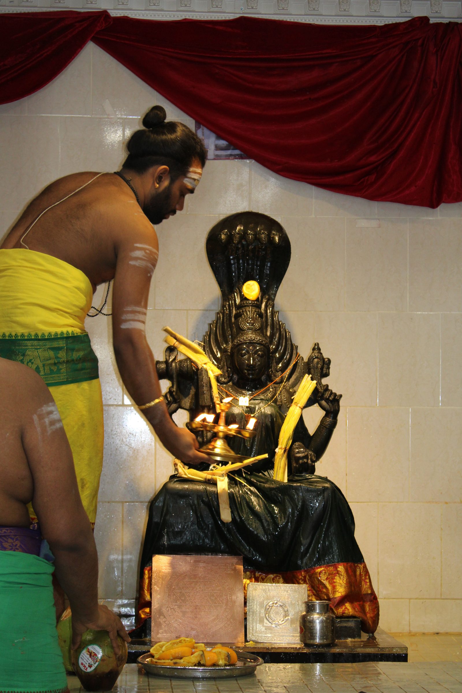 Festival 2024 photo