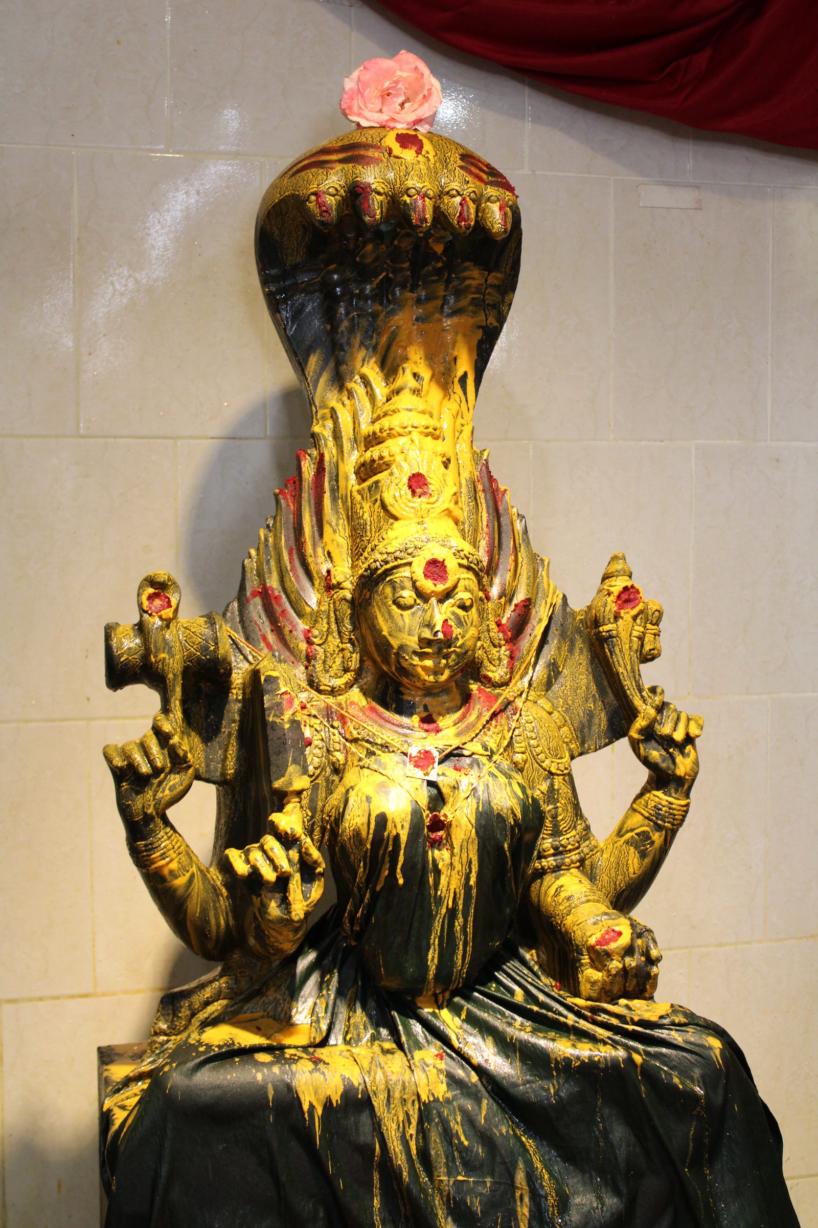 Festival 2024 photo