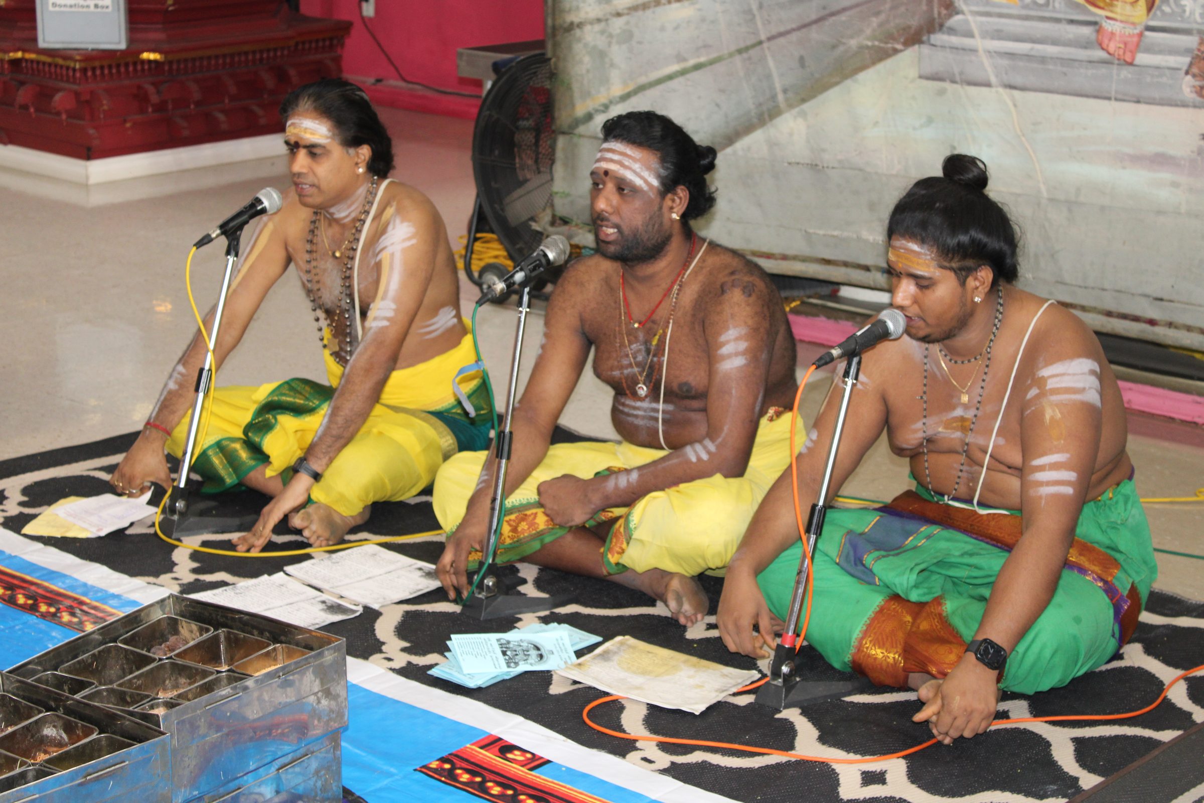 Festival 2024 photo