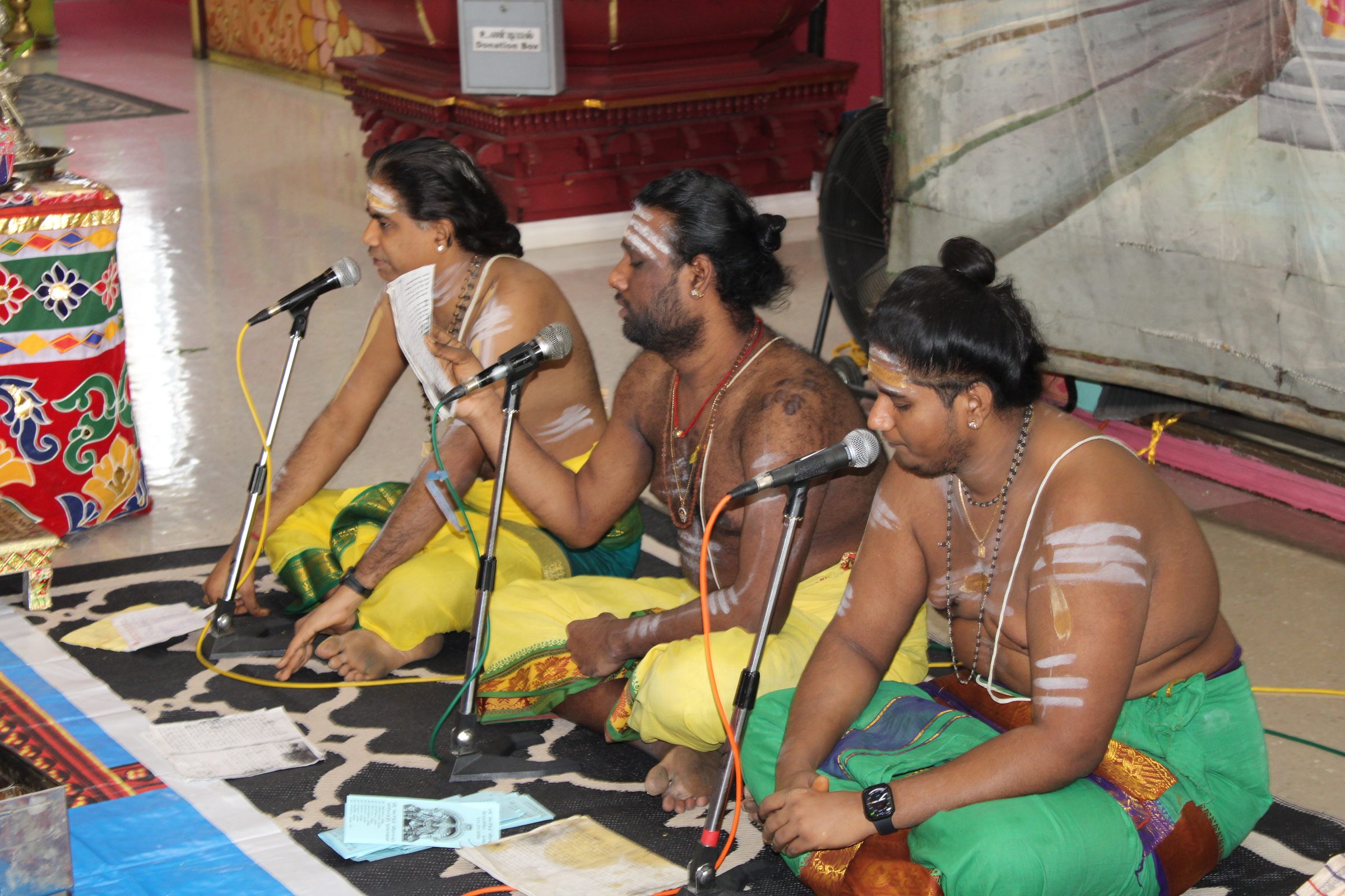 Festival 2024 photo