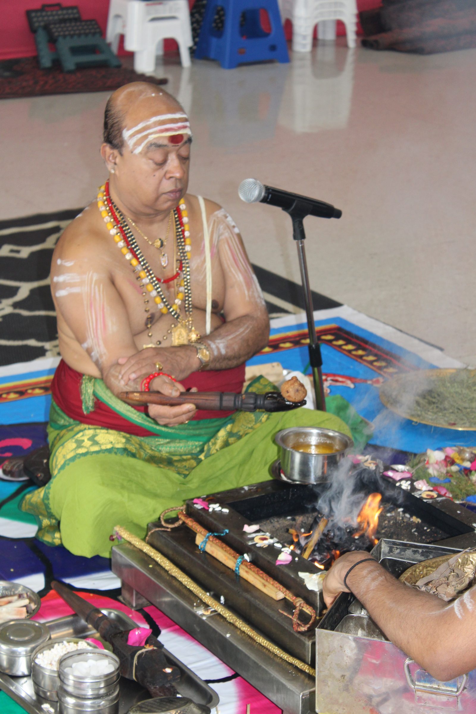 Festival 2024 photo