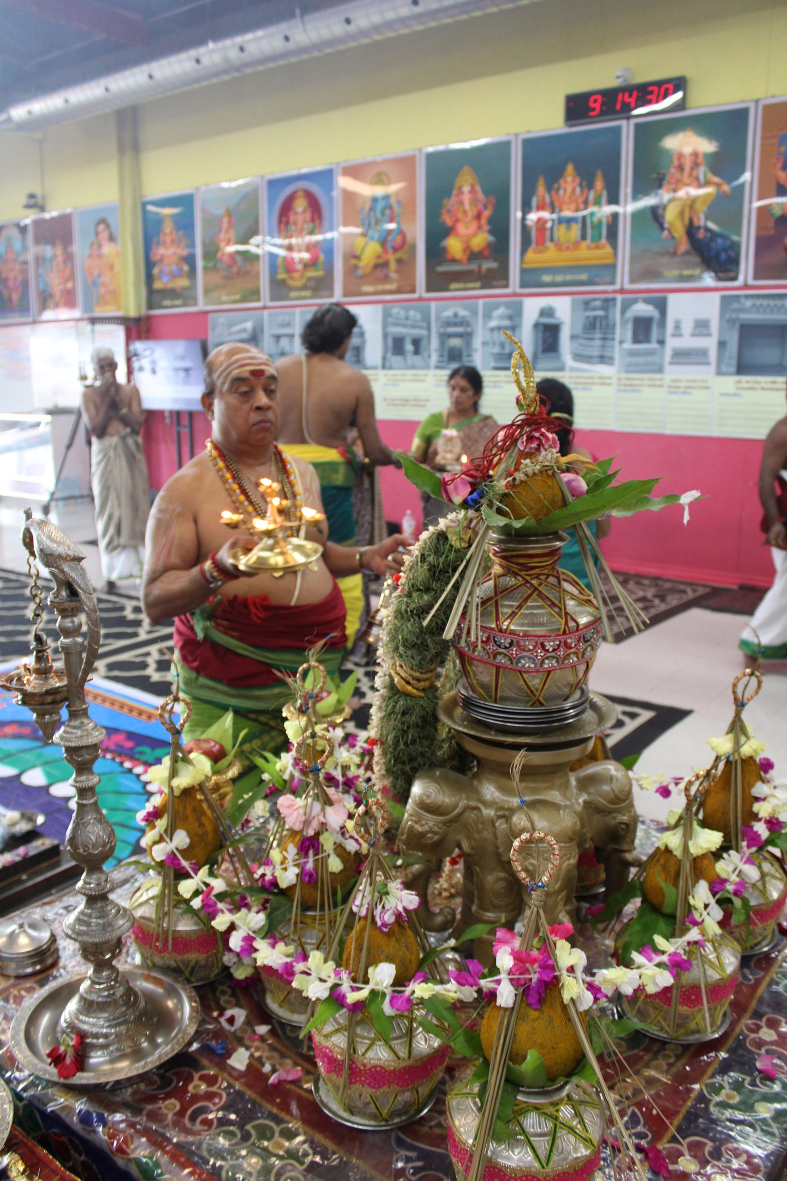 Festival 2024 photo