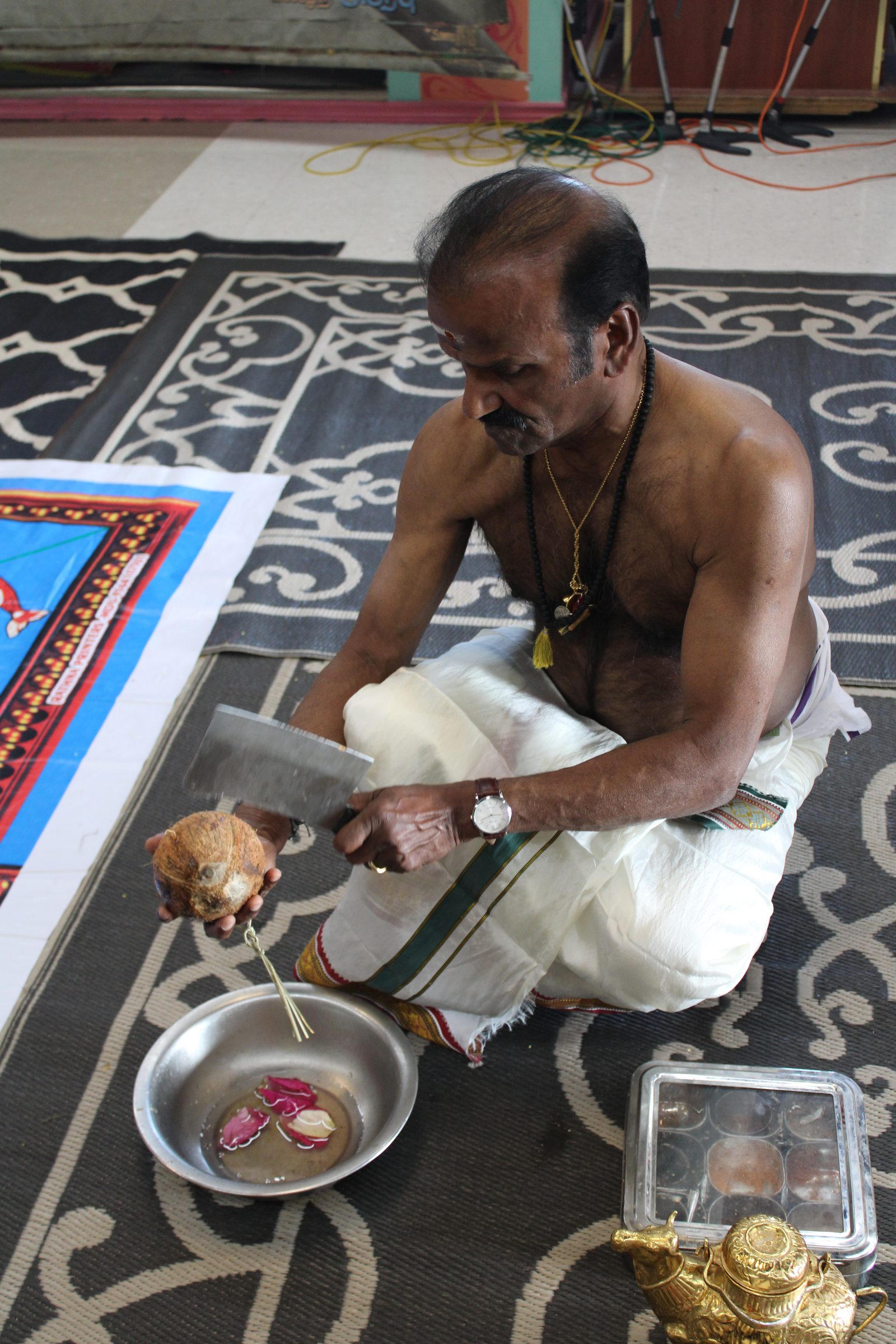 Festival 2024 photo