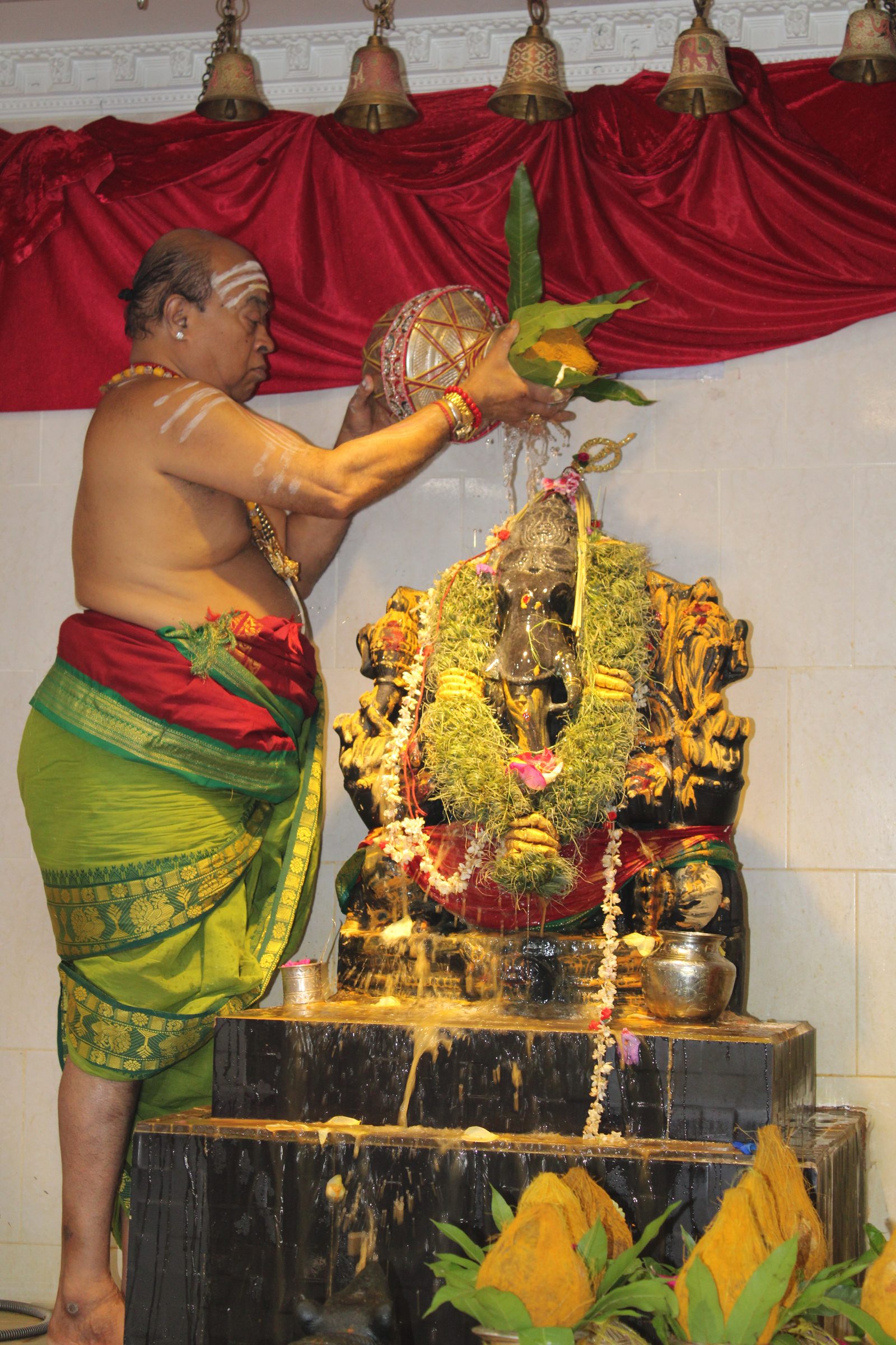 Festival 2024 photo