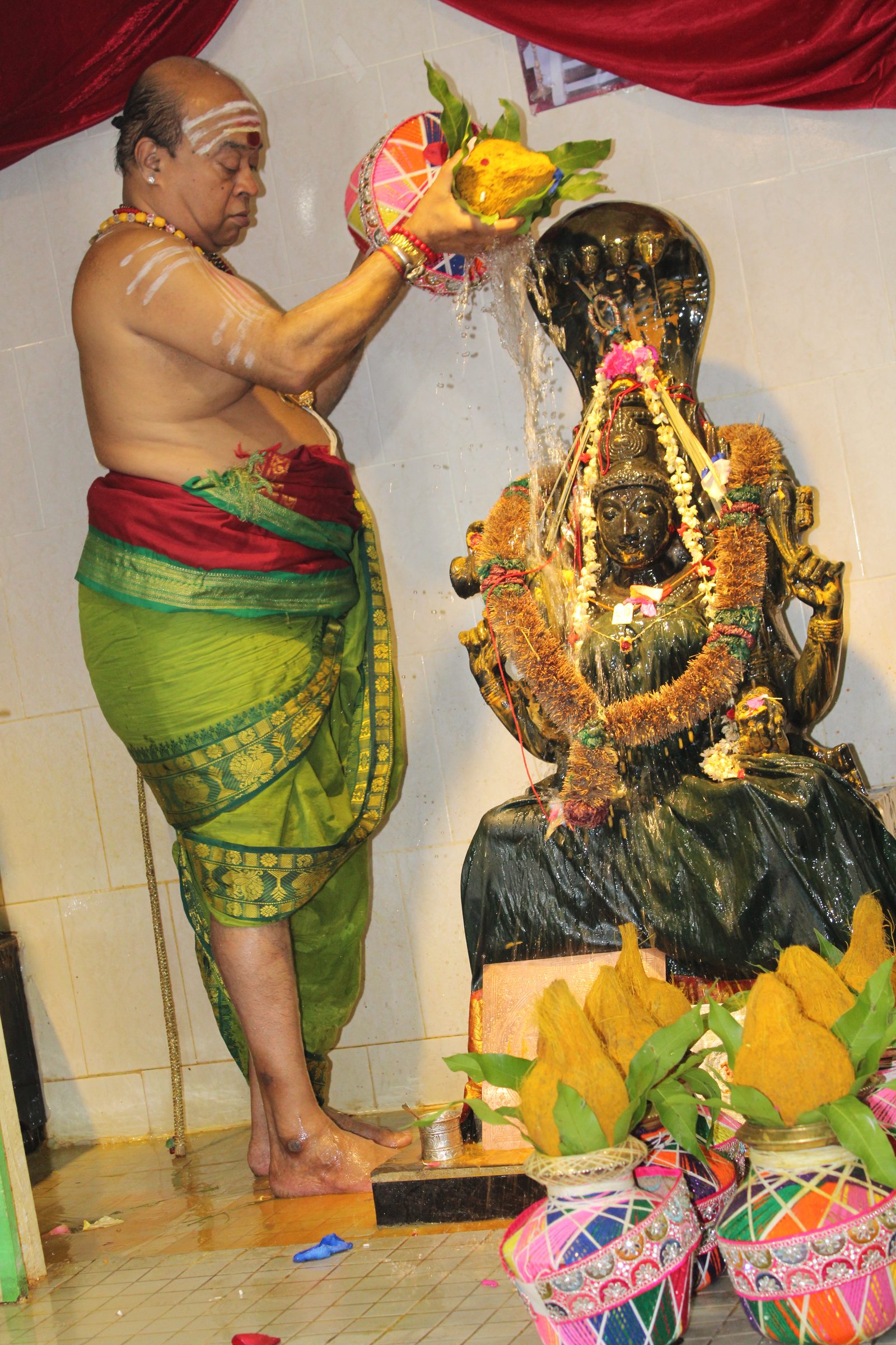 Festival 2024 photo