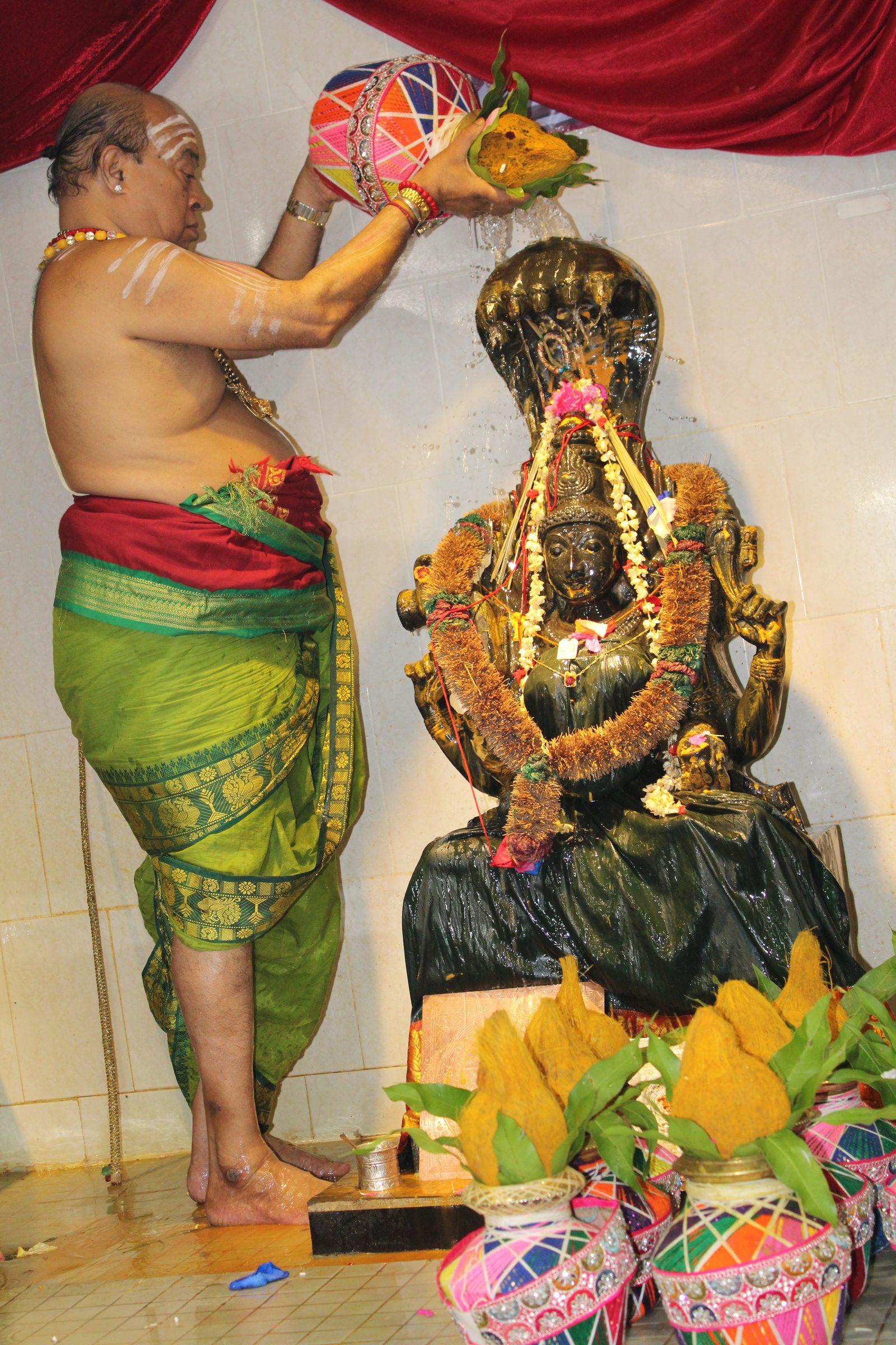 Festival 2024 photo