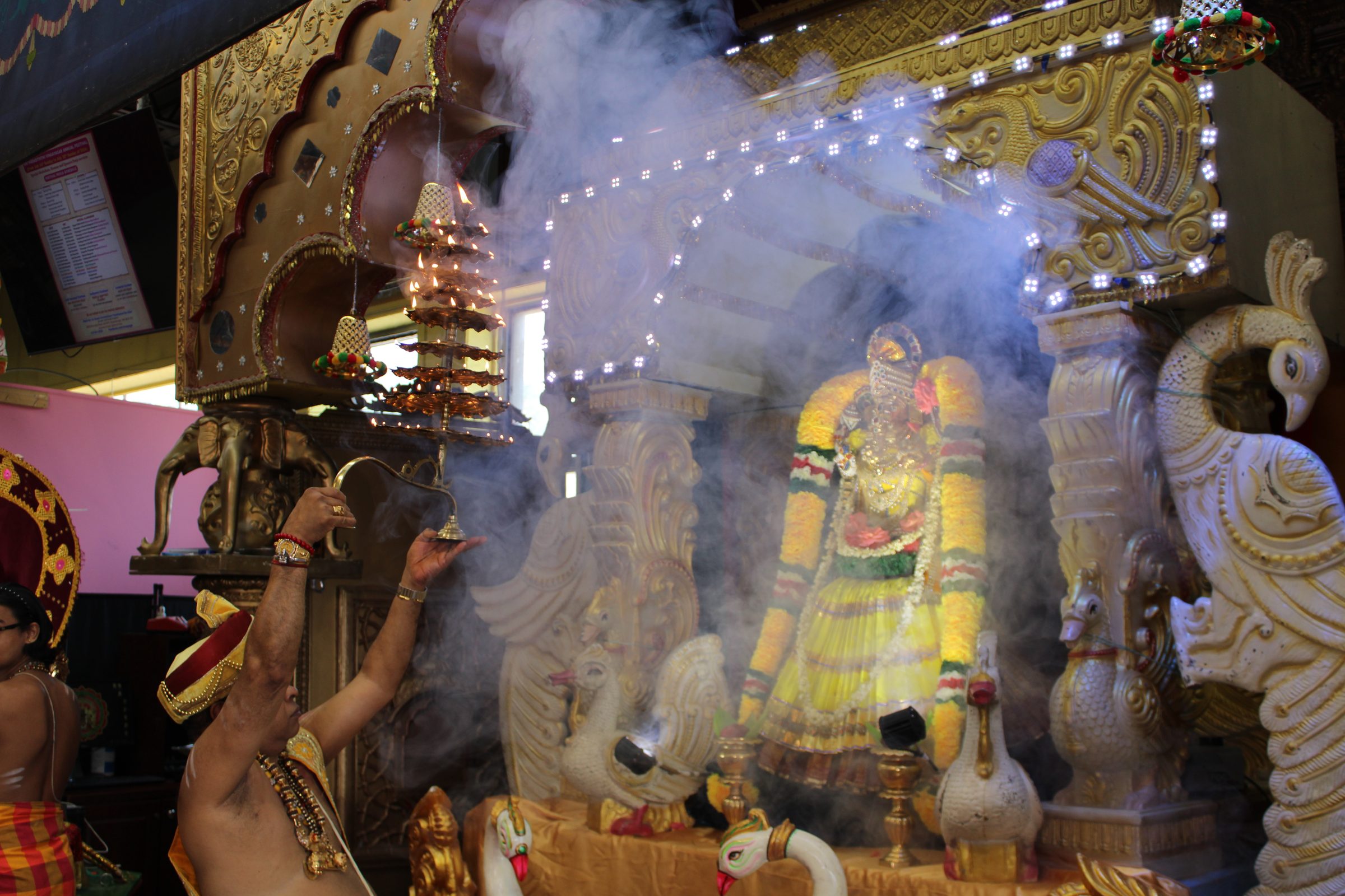 Festival 2024 photo