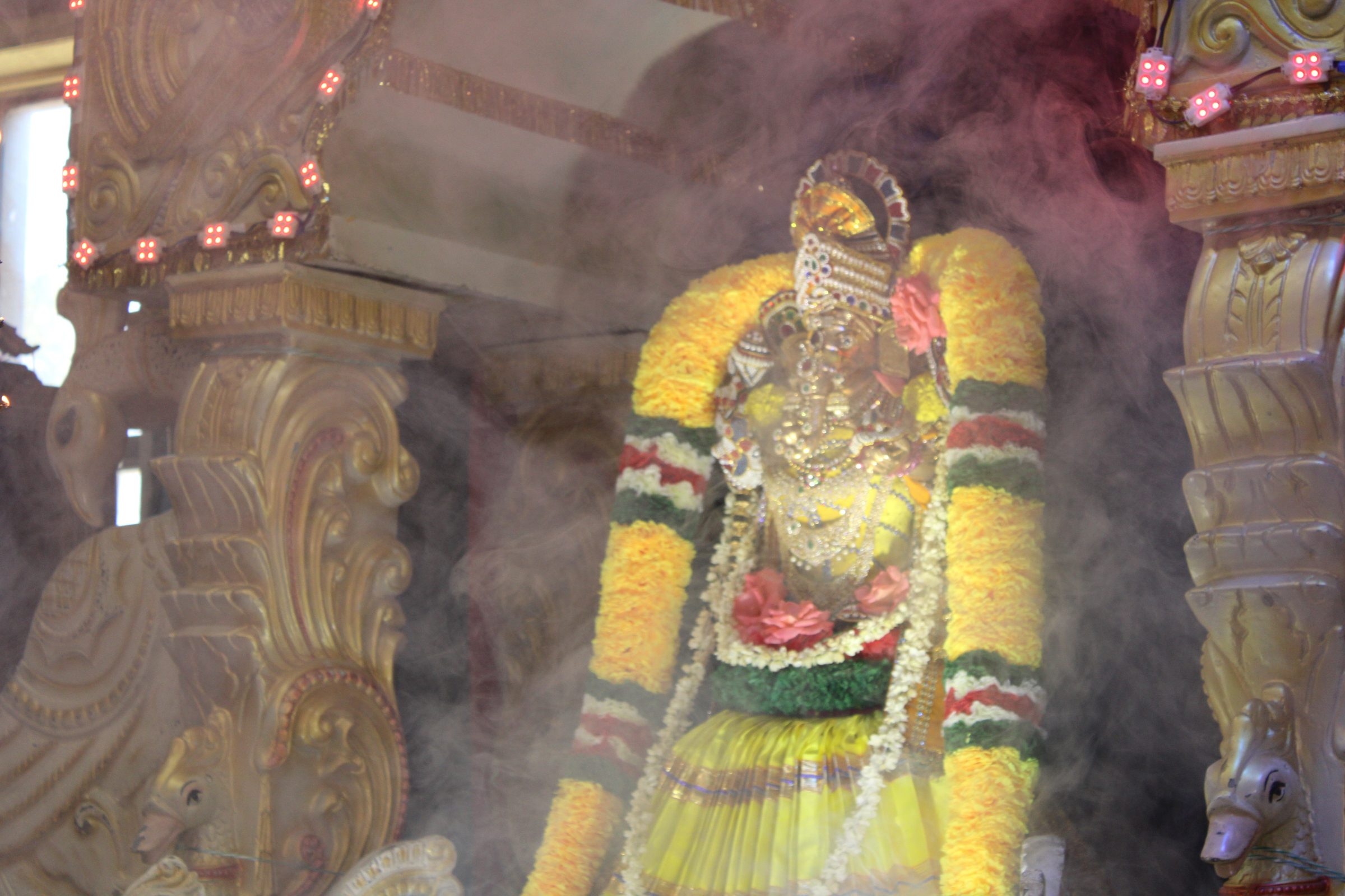 Festival 2024 photo