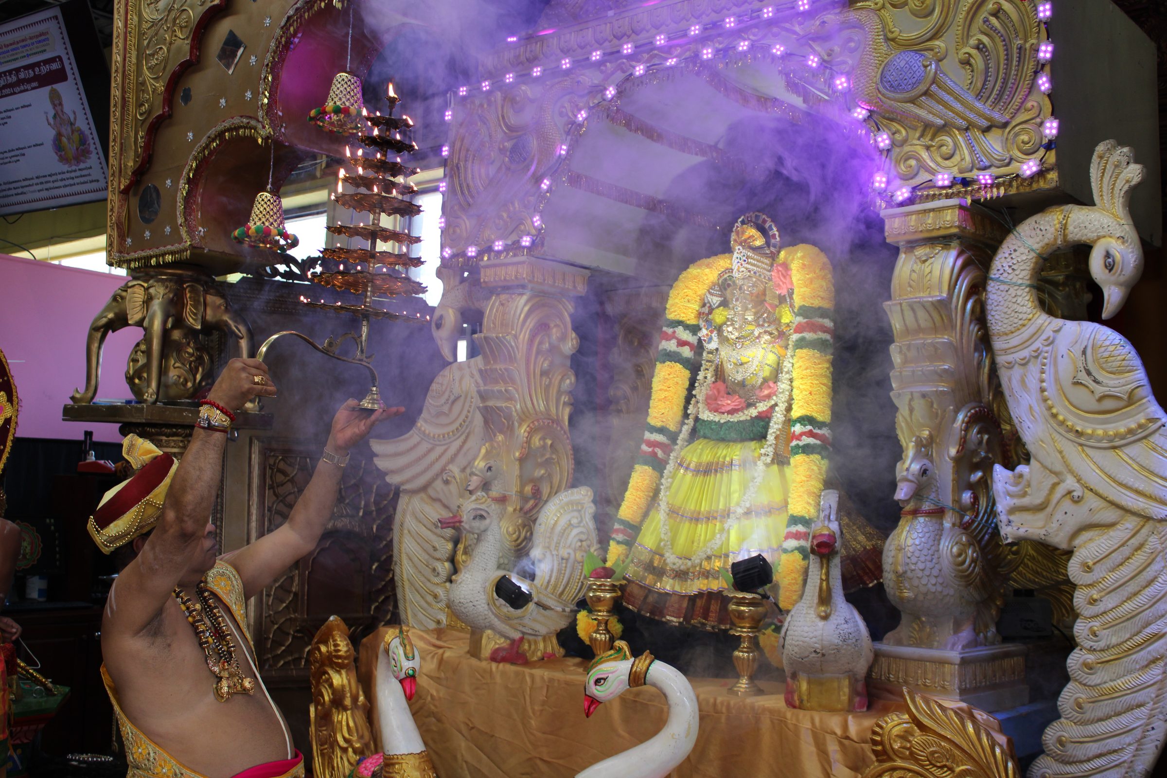 Festival 2024 photo