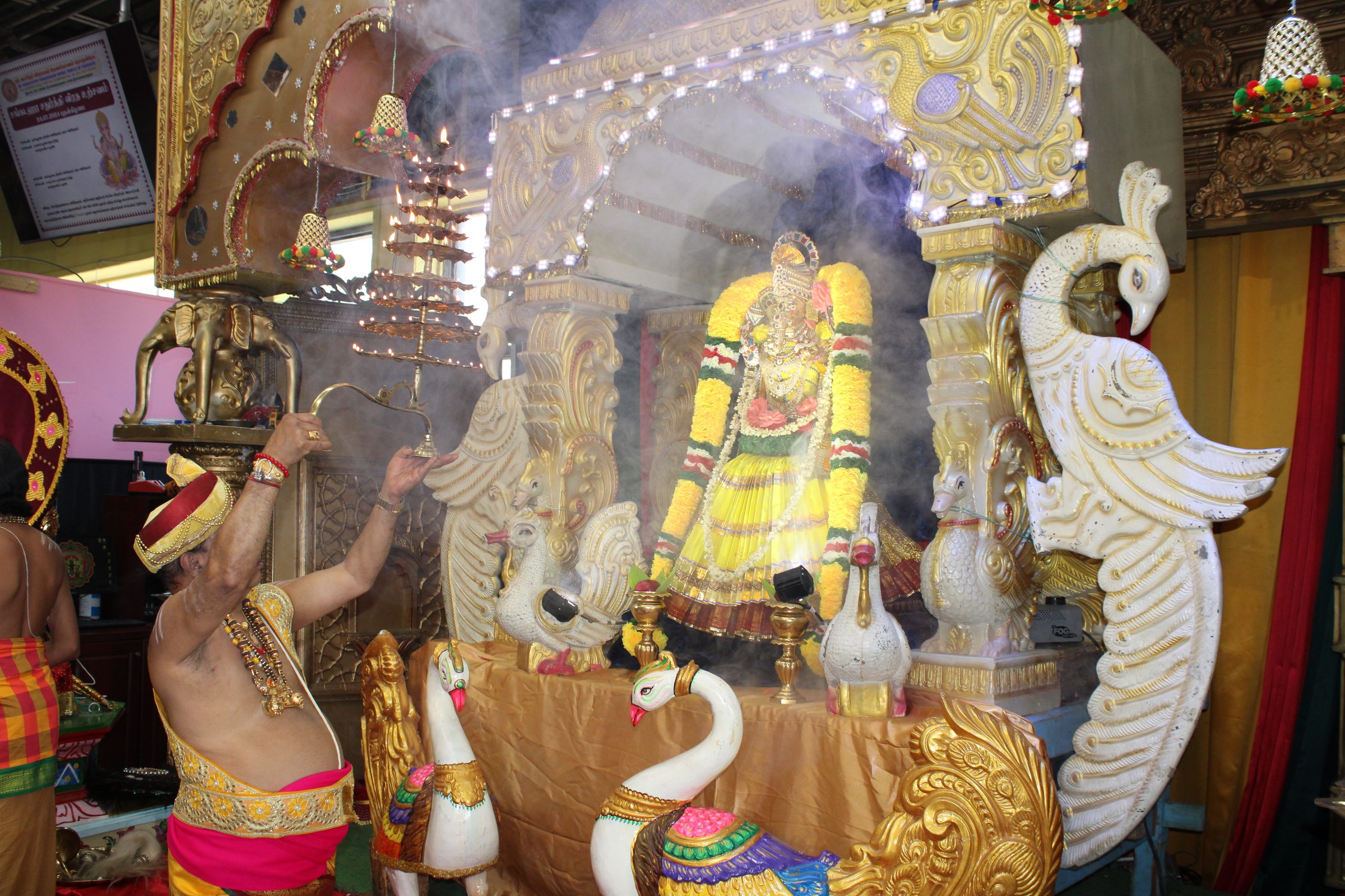 Festival 2024 photo