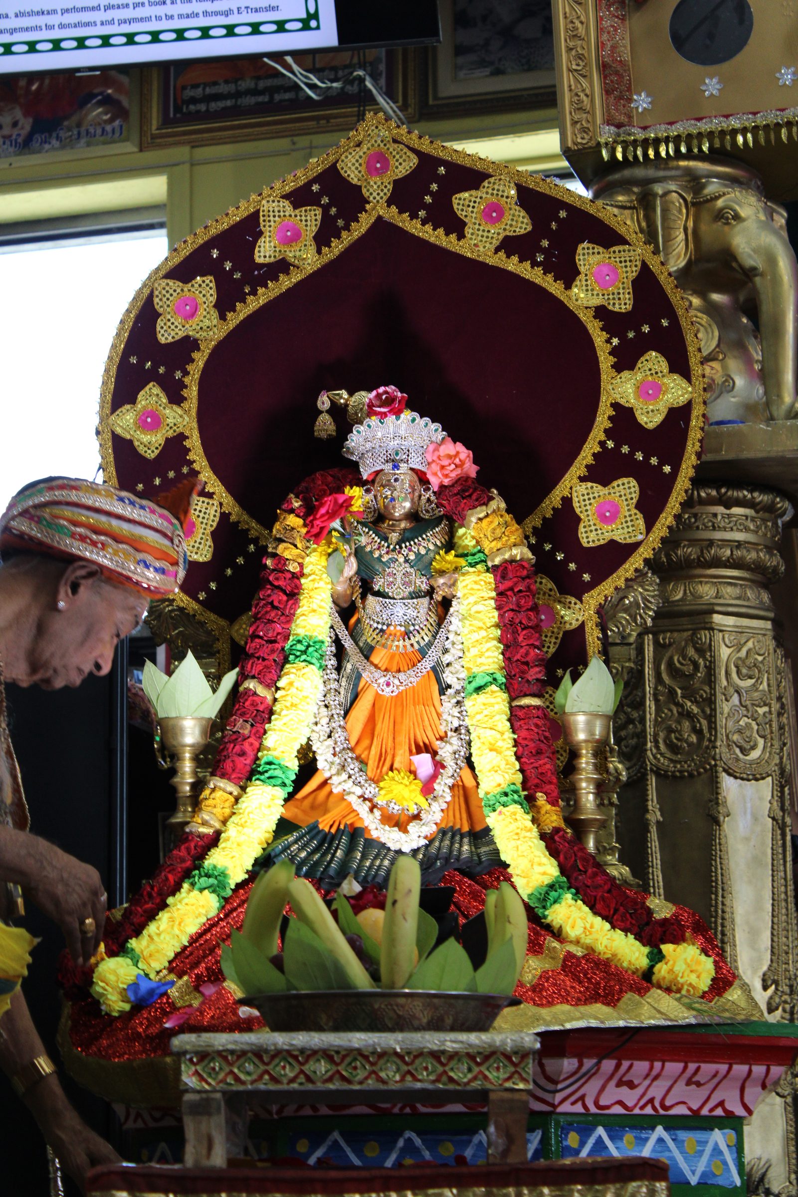 Festival 2024 photo