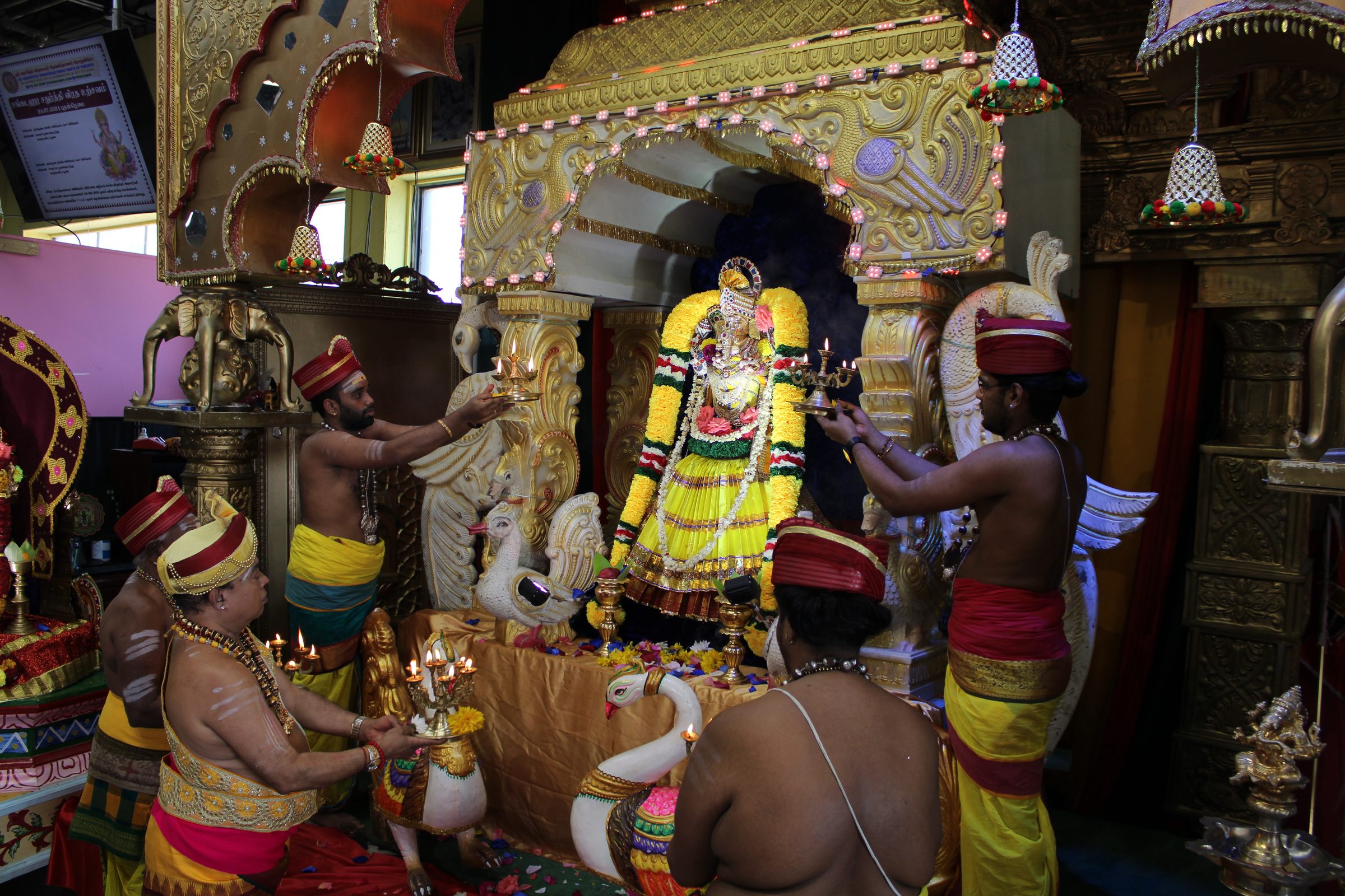 Festival 2024 photo