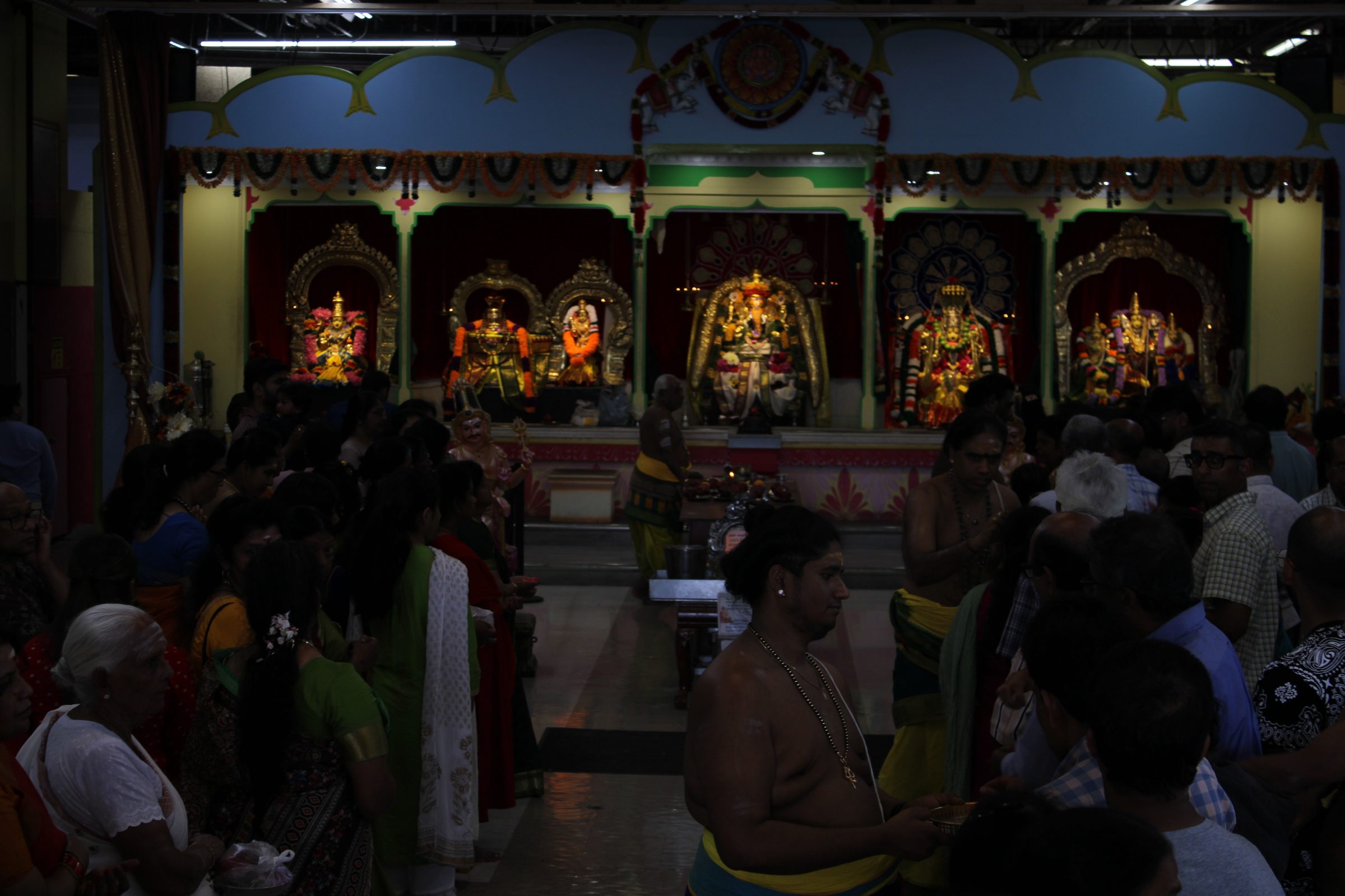 Festival 2024 photo