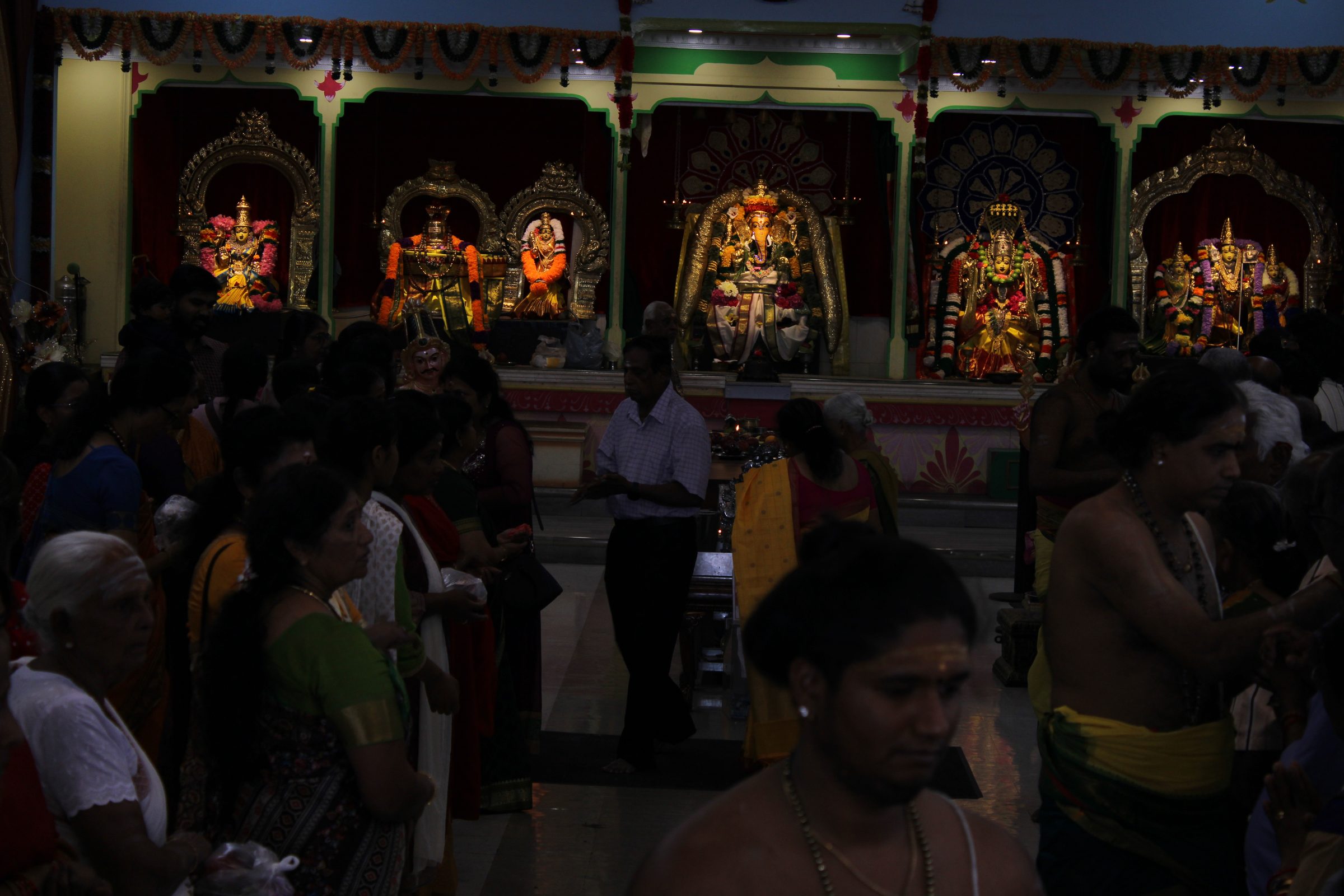 Festival 2024 photo