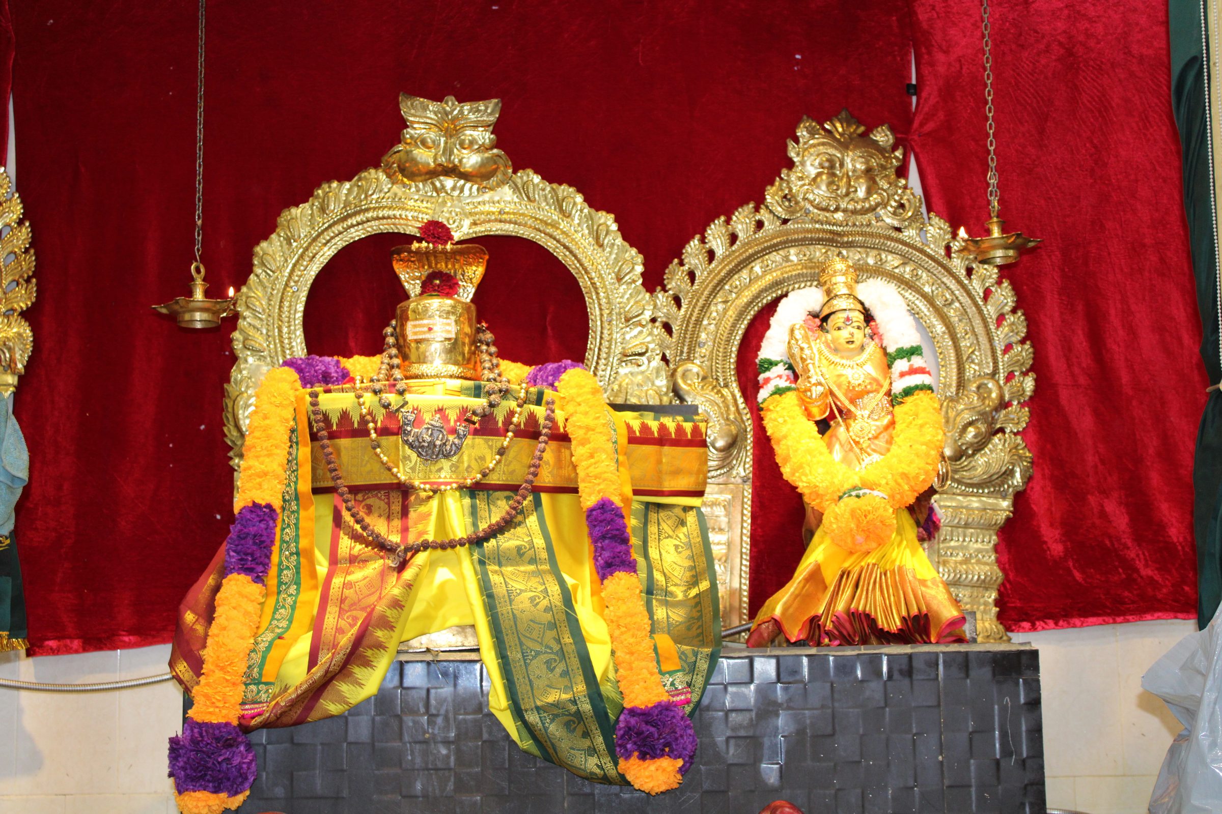 Festival 2024 photo