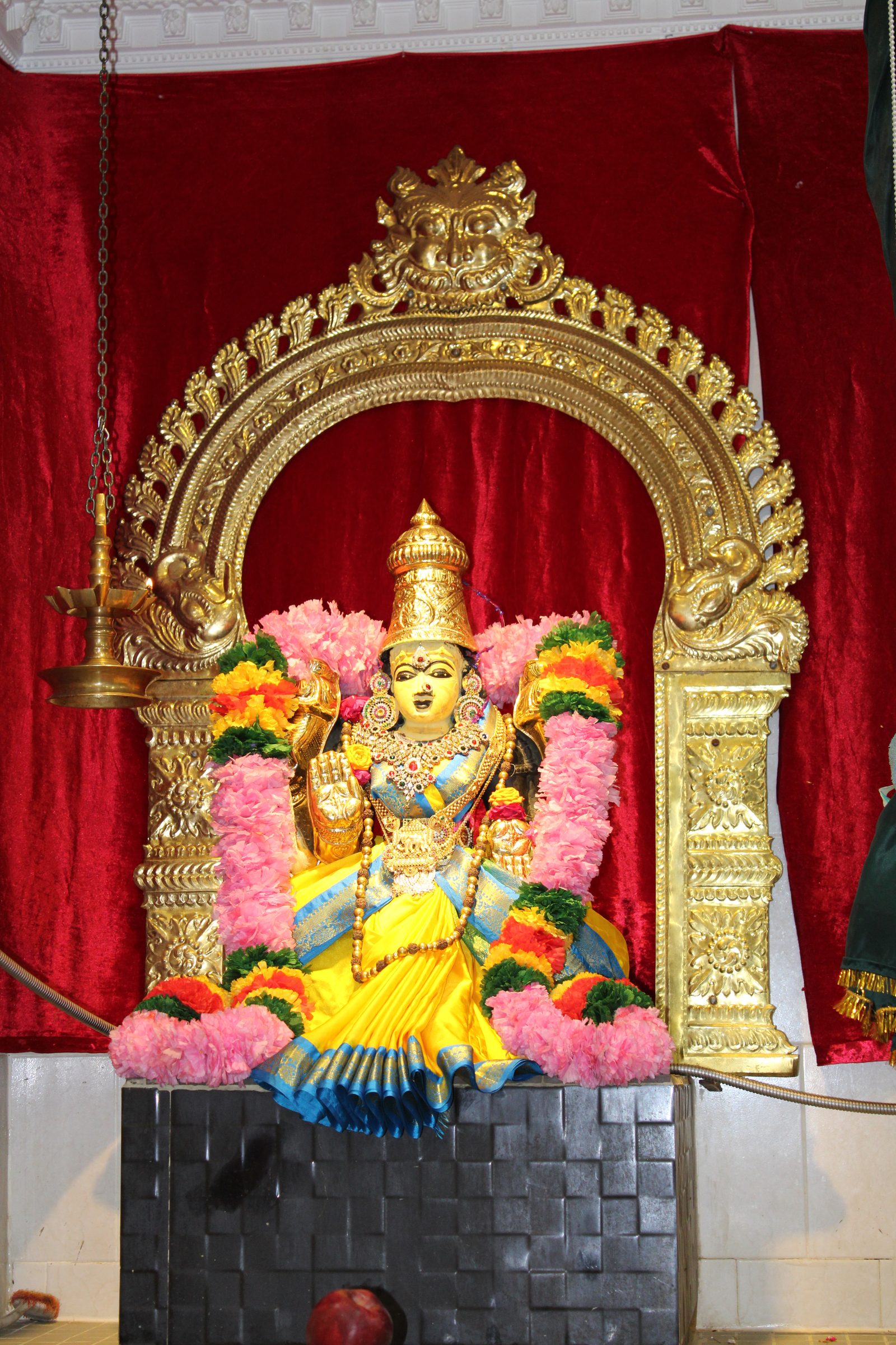 Festival 2024 photo