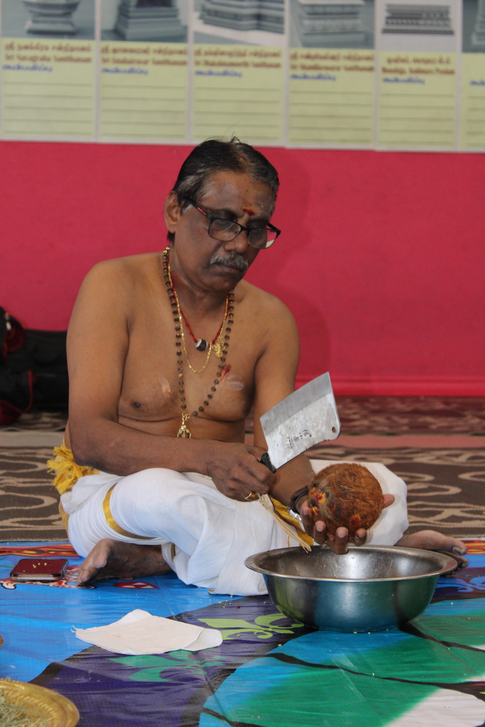 Festival 2024 photo