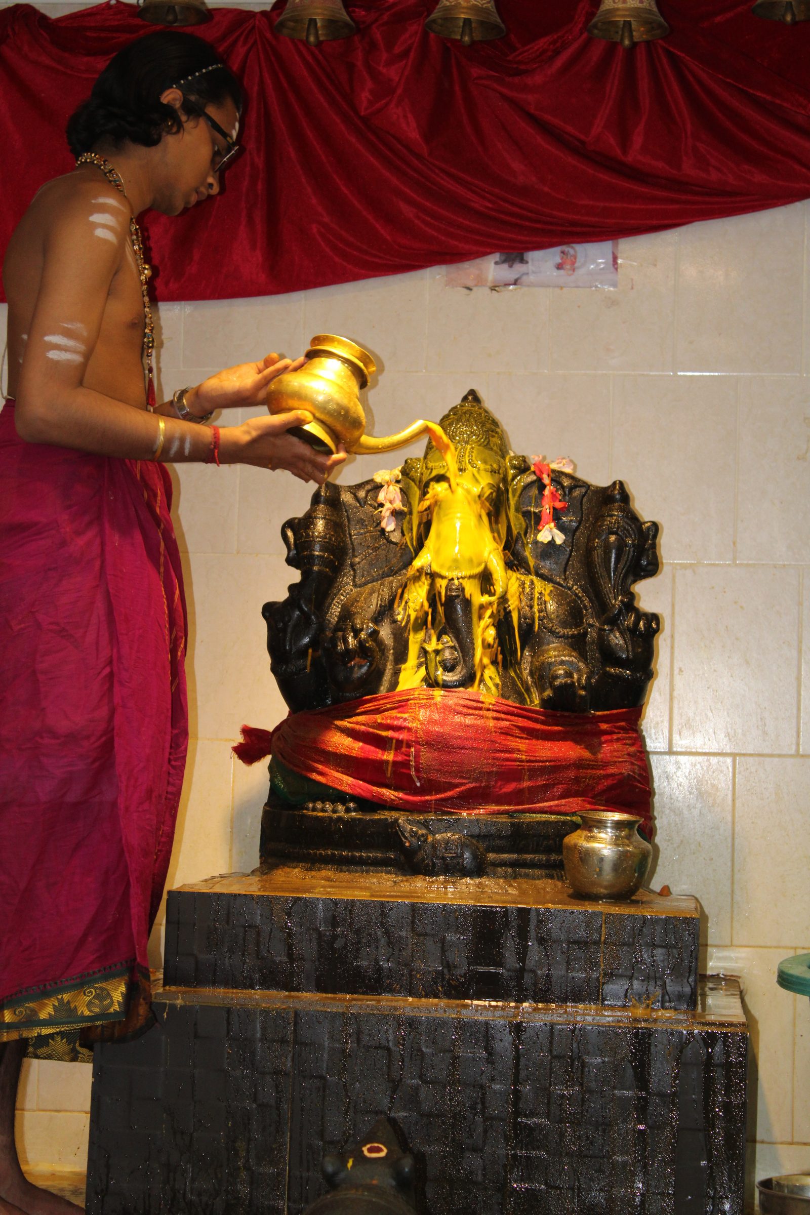 Festival 2024 photo