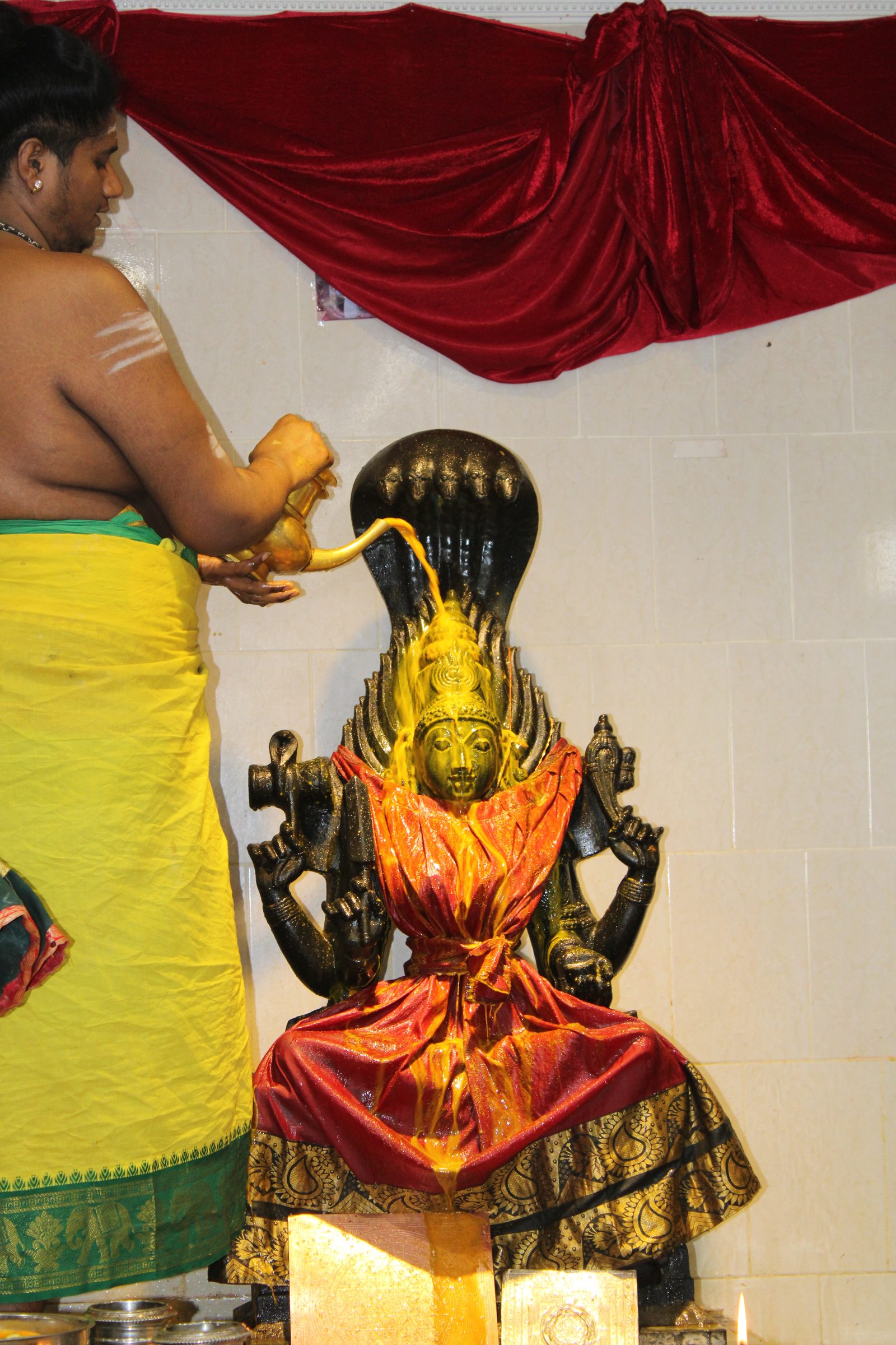 Festival 2024 photo