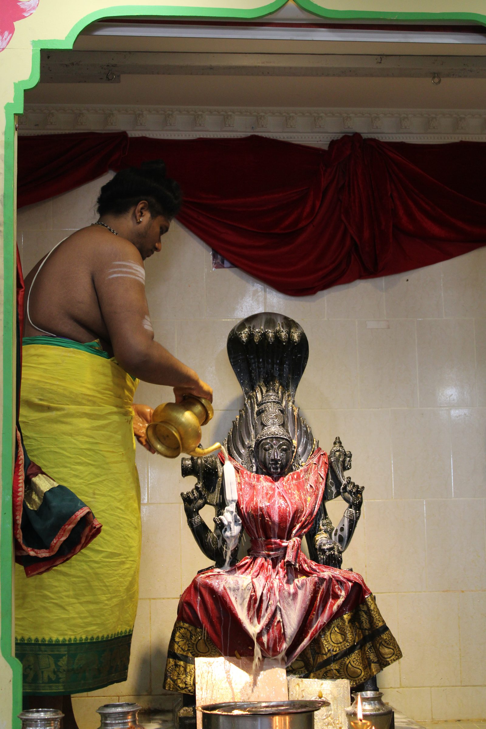 Festival 2024 photo