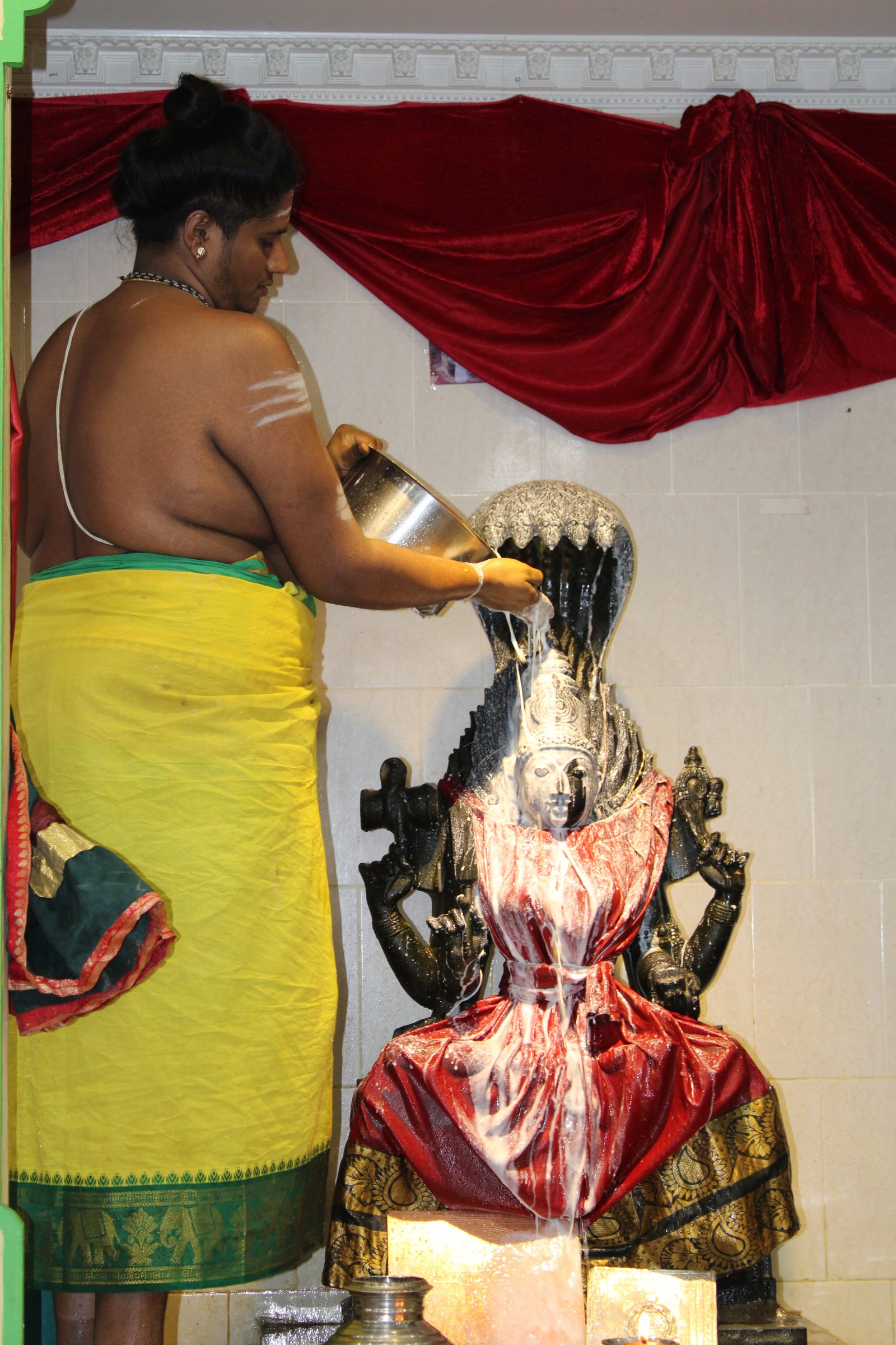 Festival 2024 photo