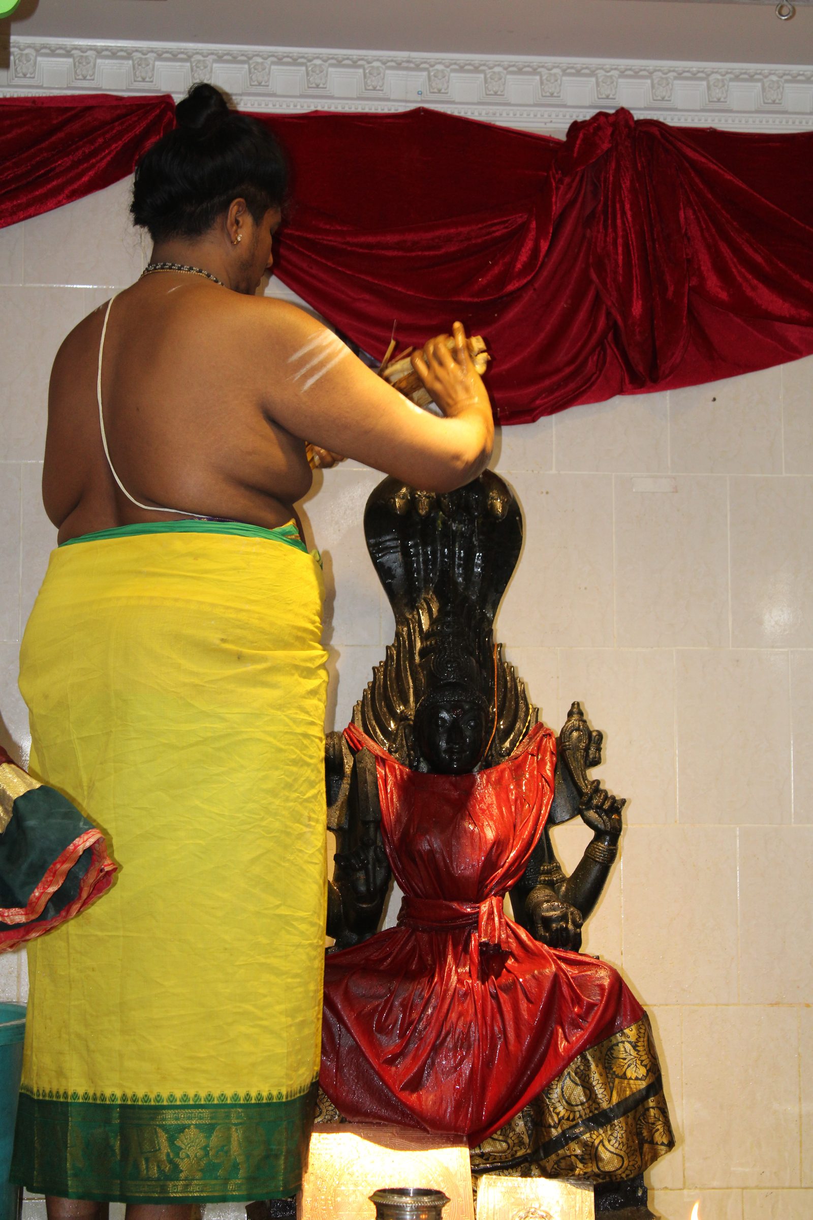 Festival 2024 photo