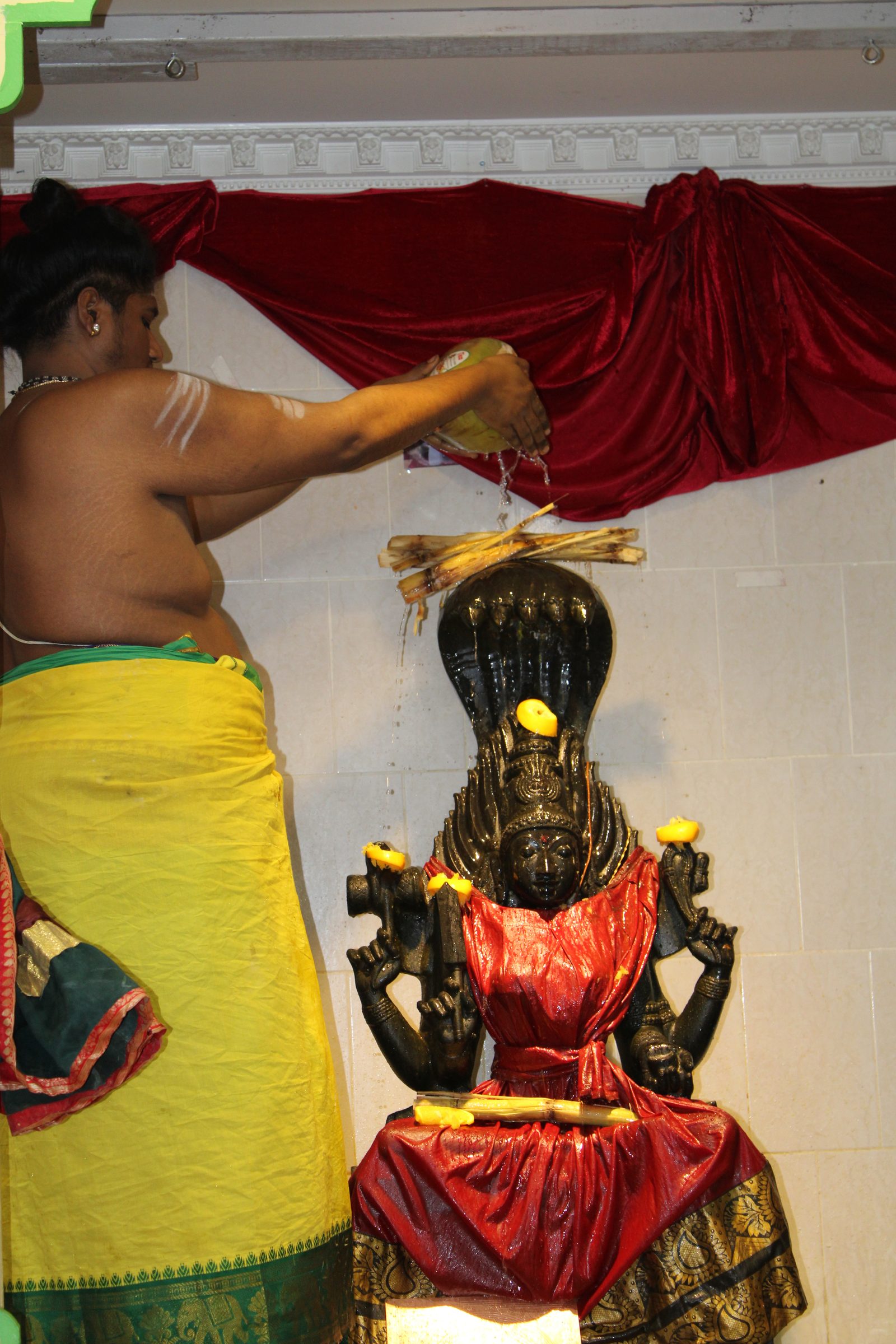Festival 2024 photo