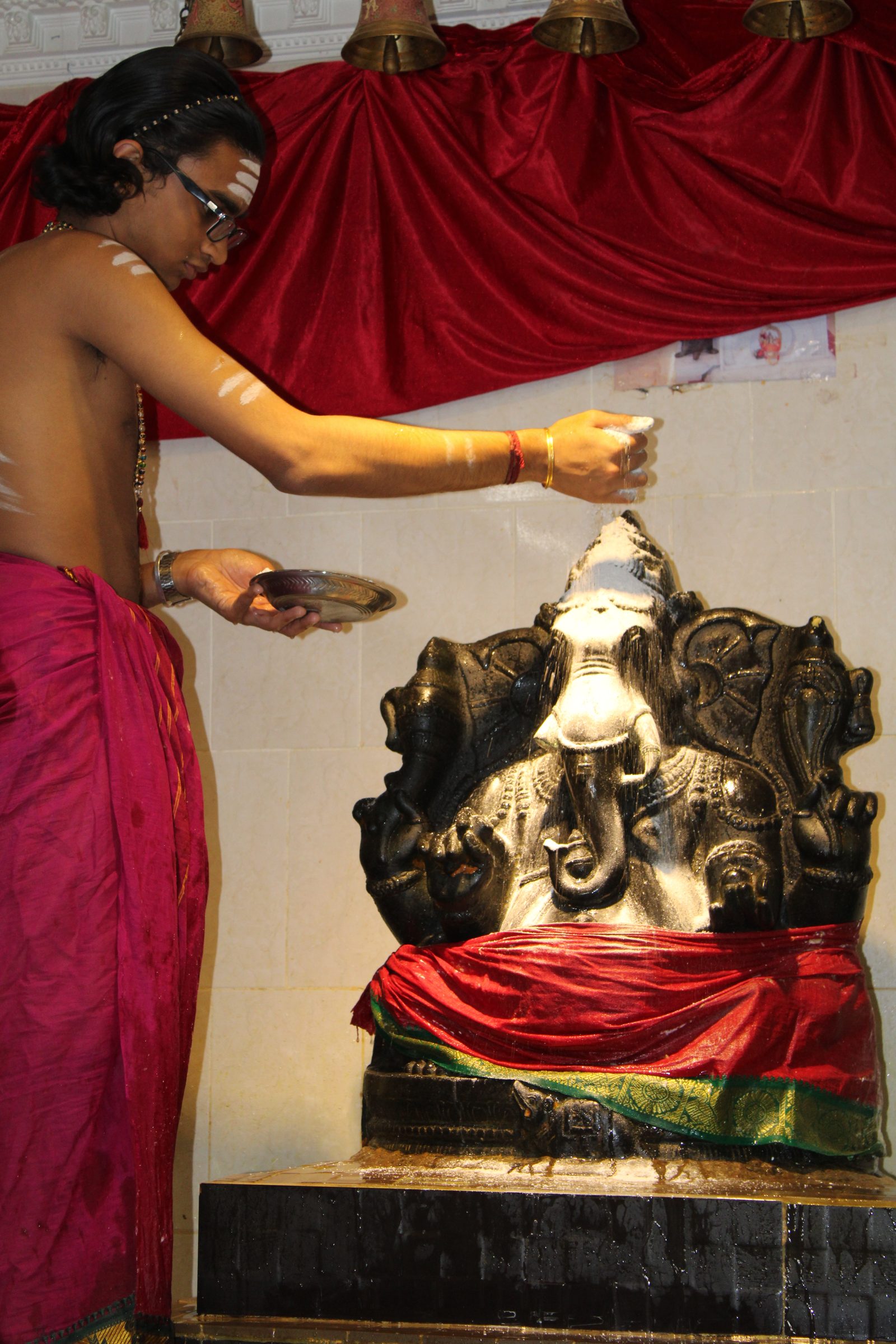 Festival 2024 photo