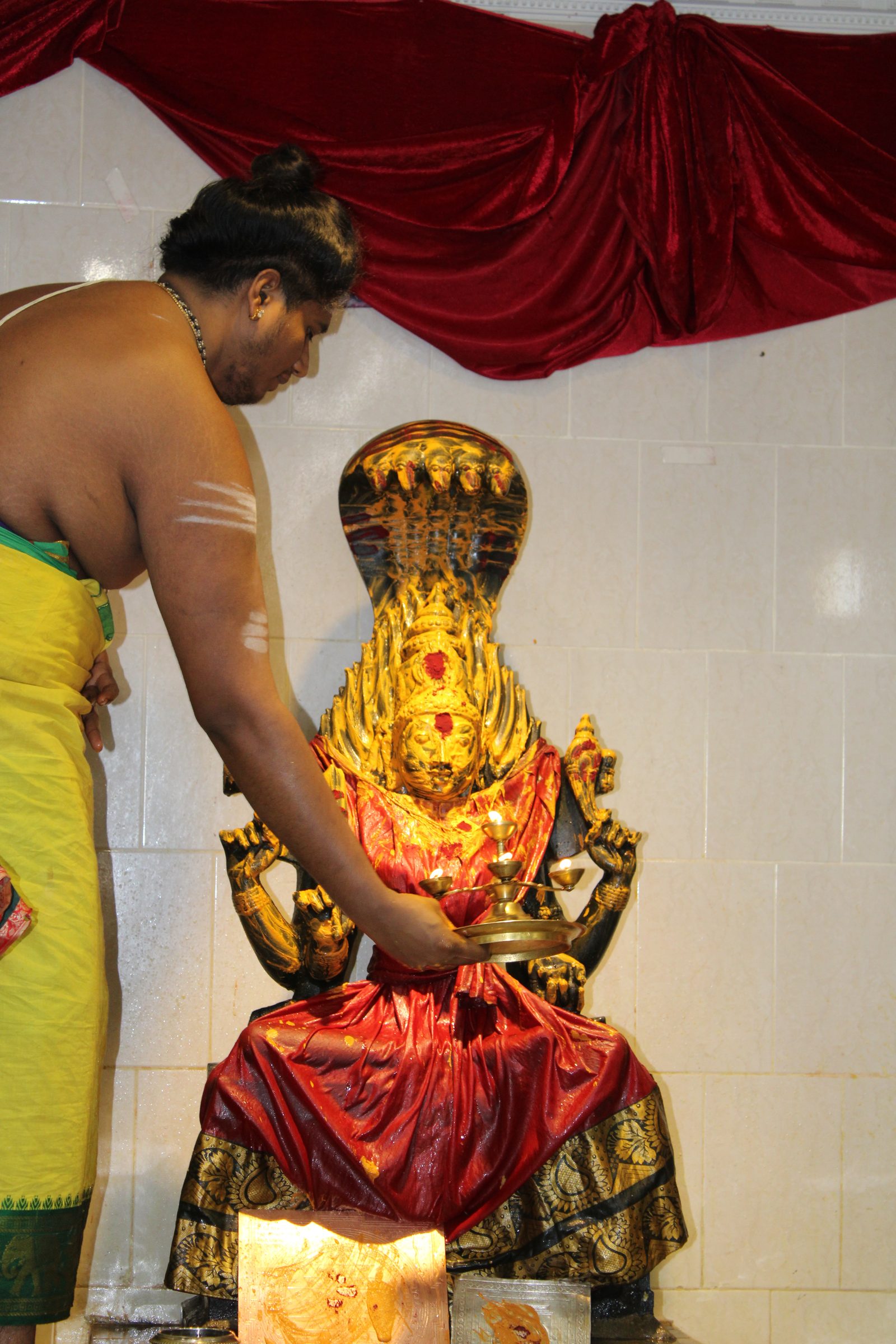 Festival 2024 photo