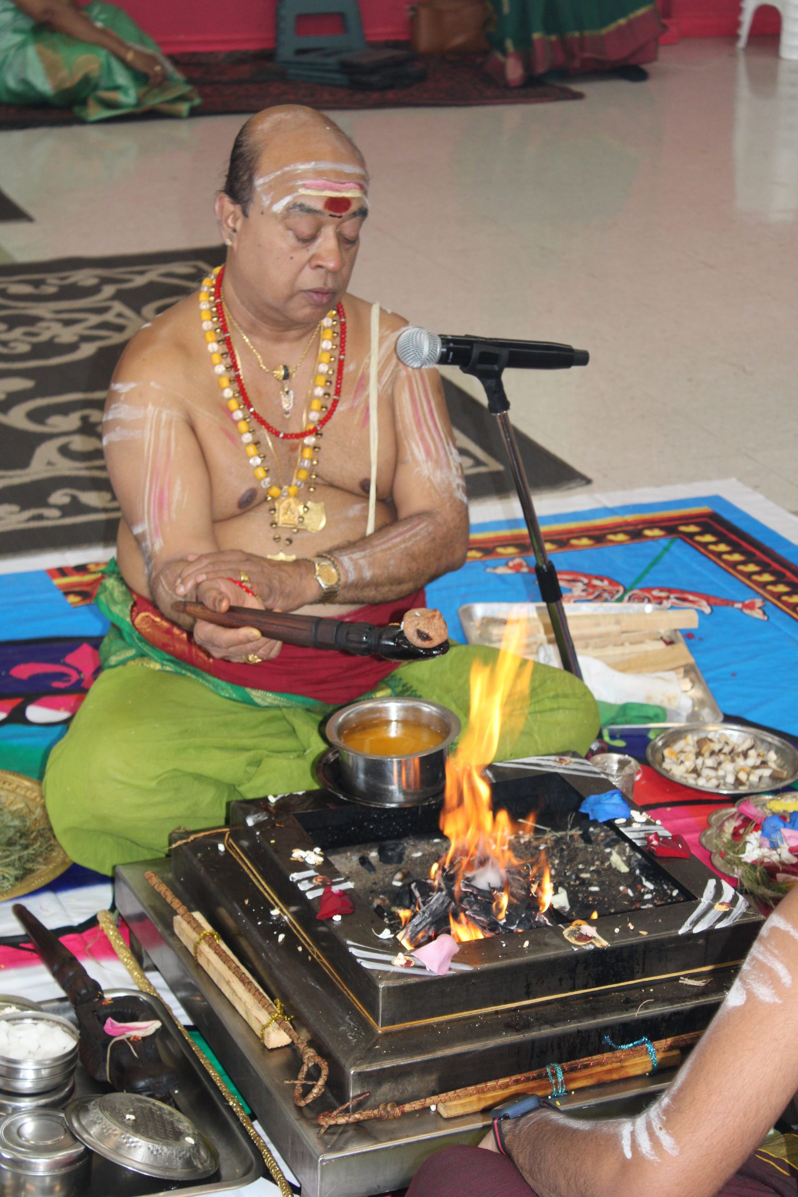 Festival 2024 photo