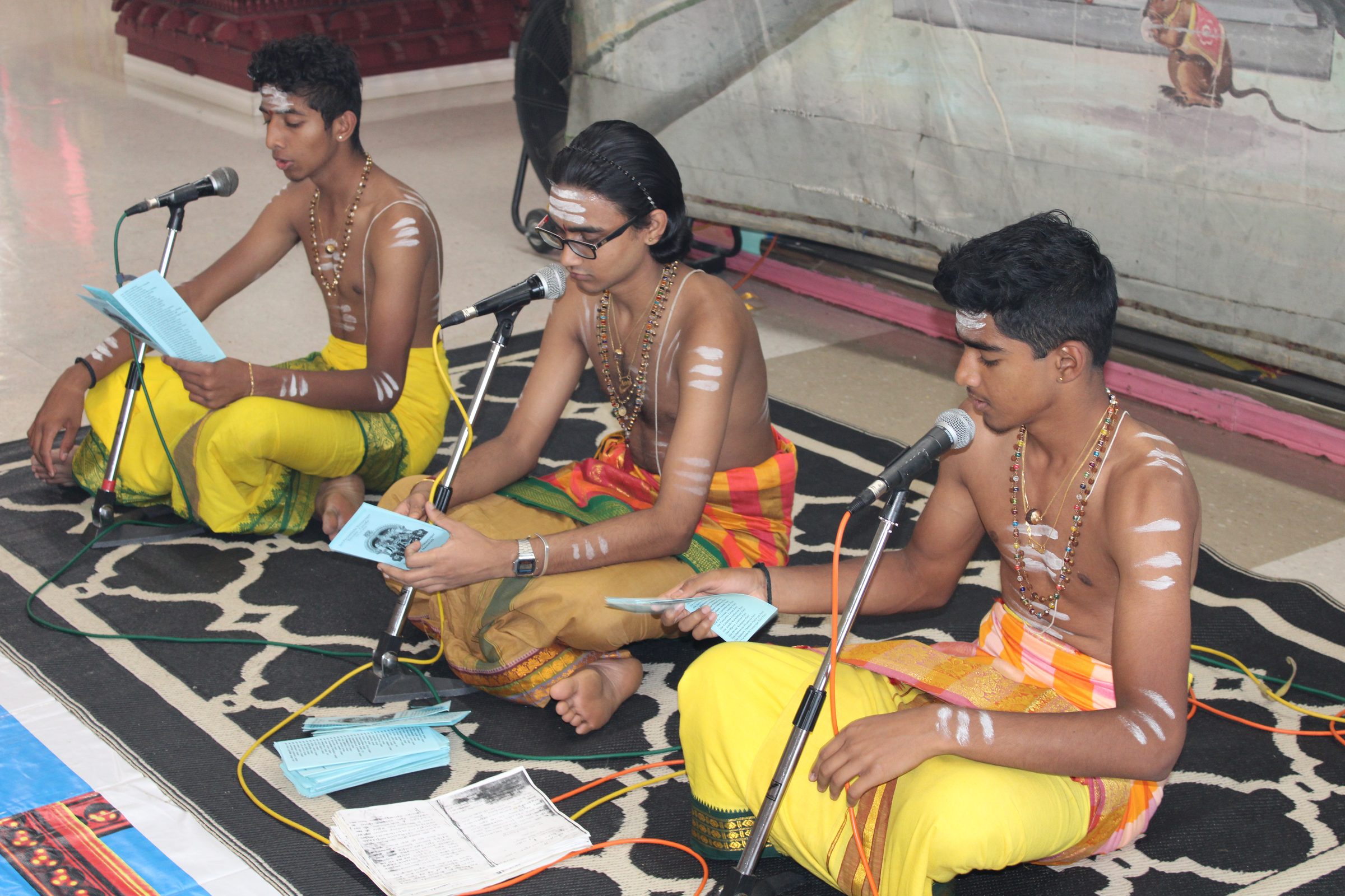 Festival 2024 photo