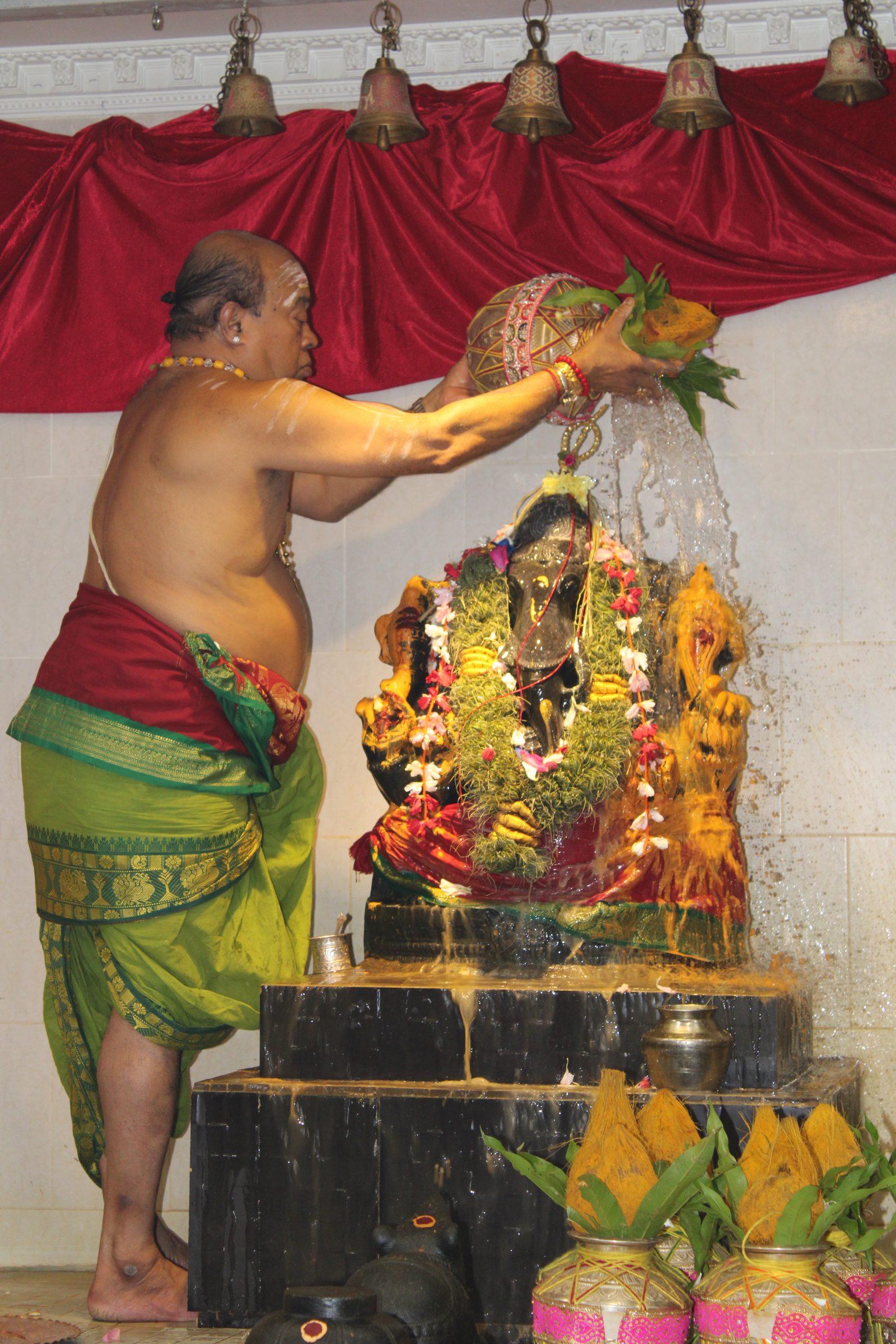 Festival 2024 photo