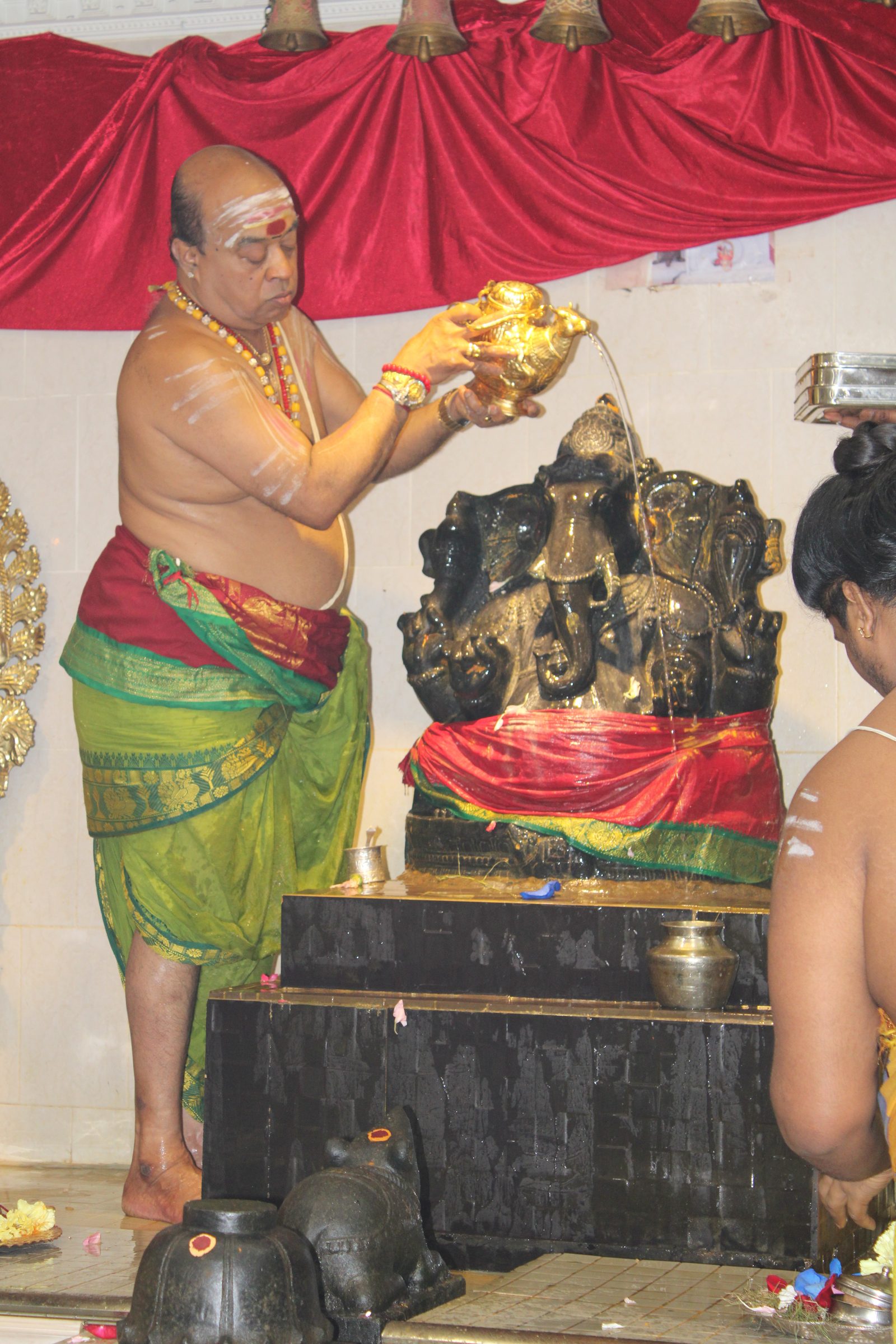 Festival 2024 photo
