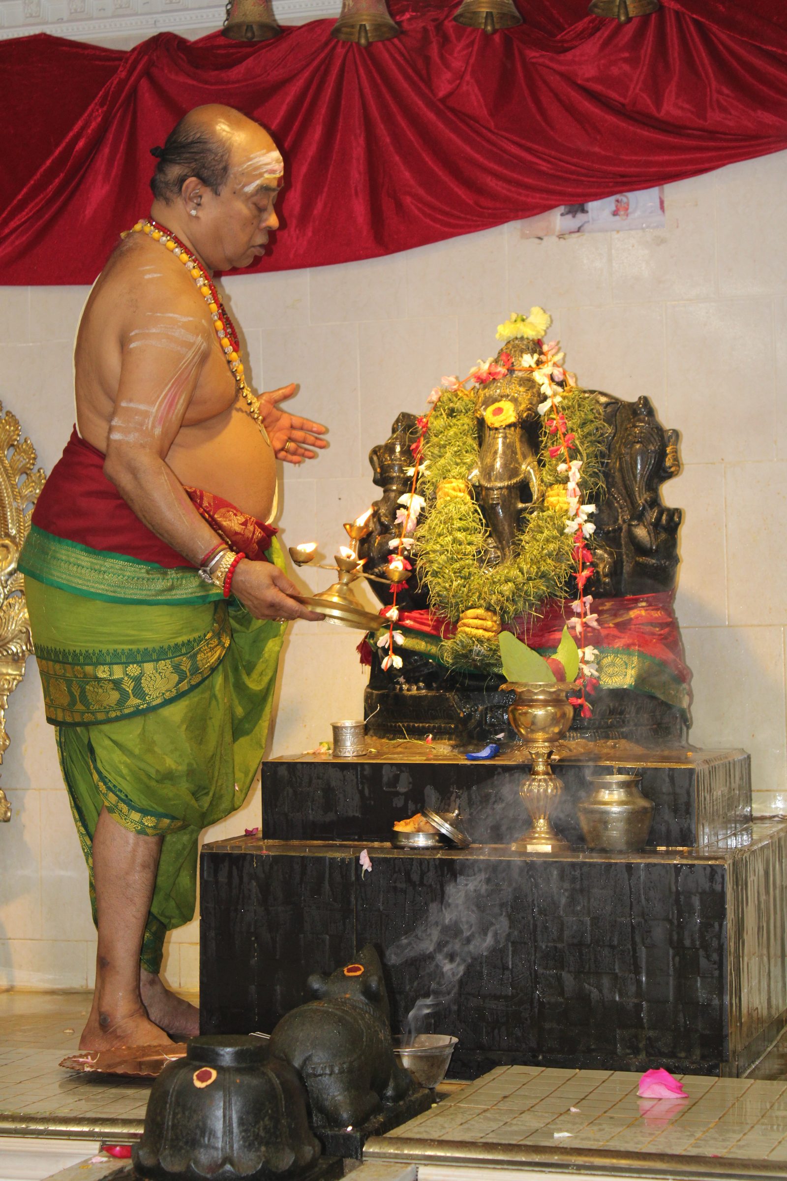 Festival 2024 photo