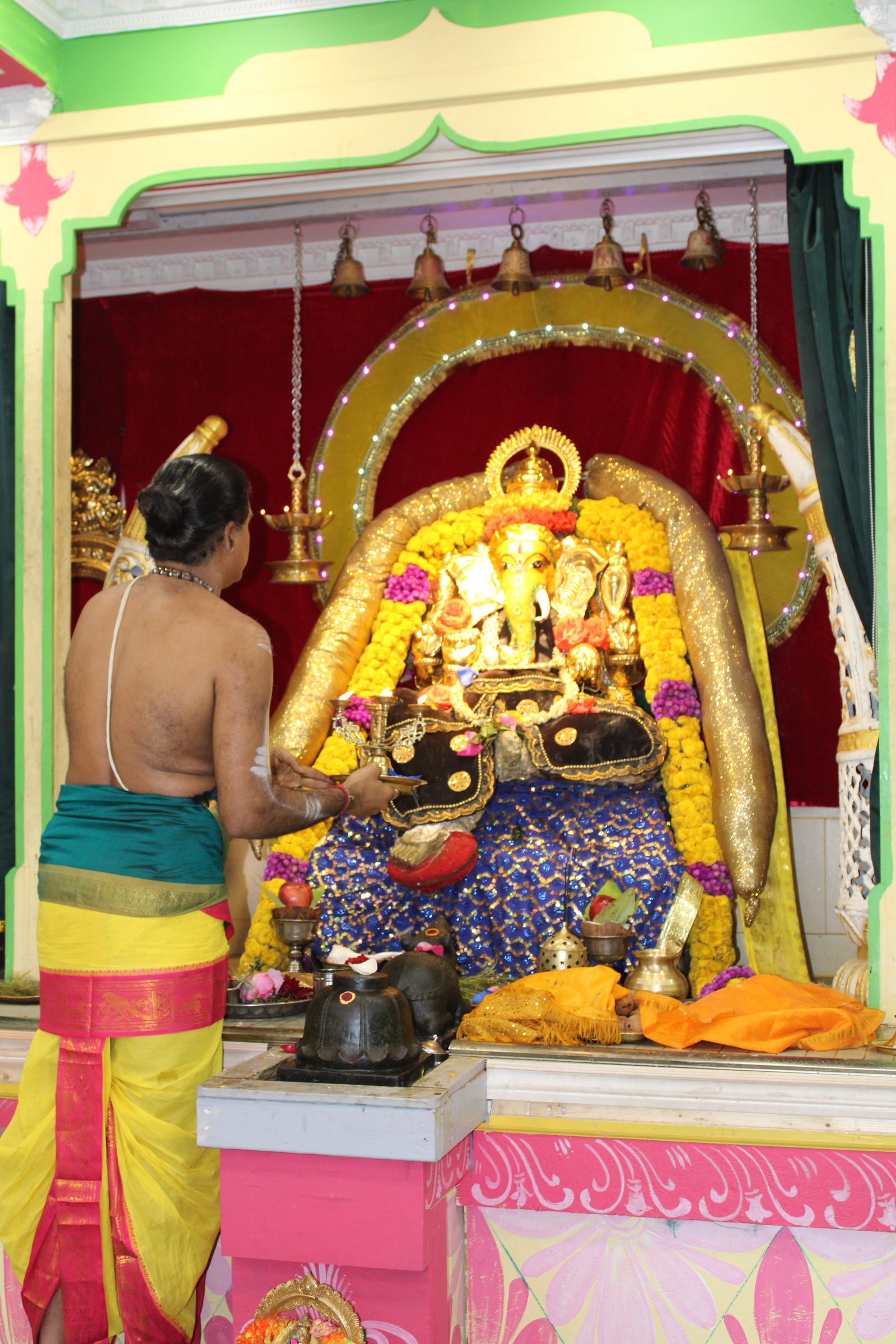 Festival 2024 photo