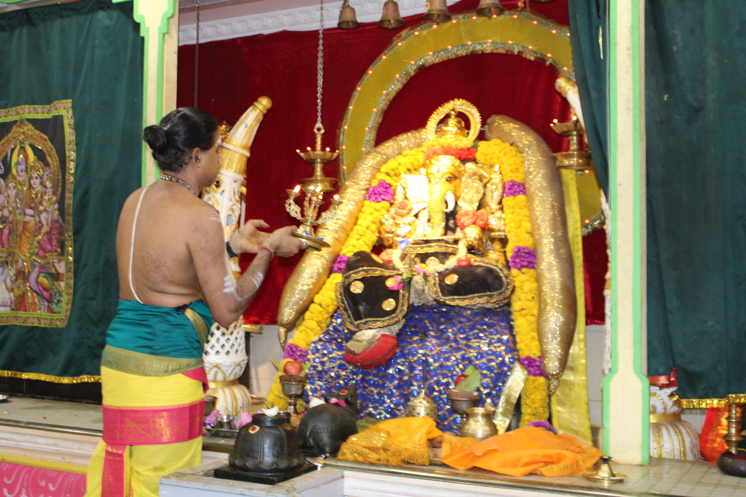 Festival 2024 photo