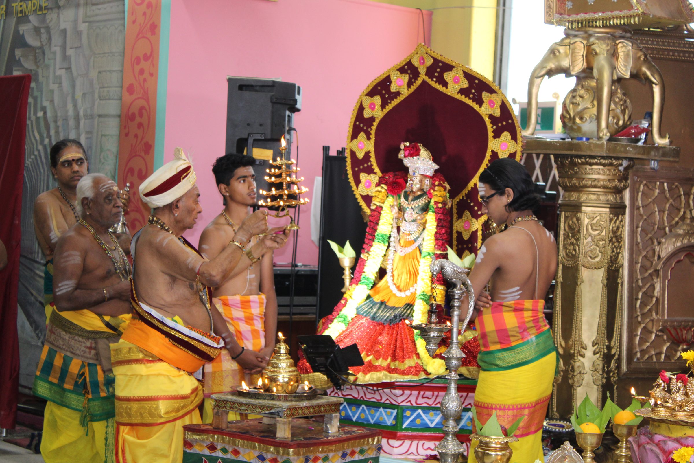 Festival 2024 photo
