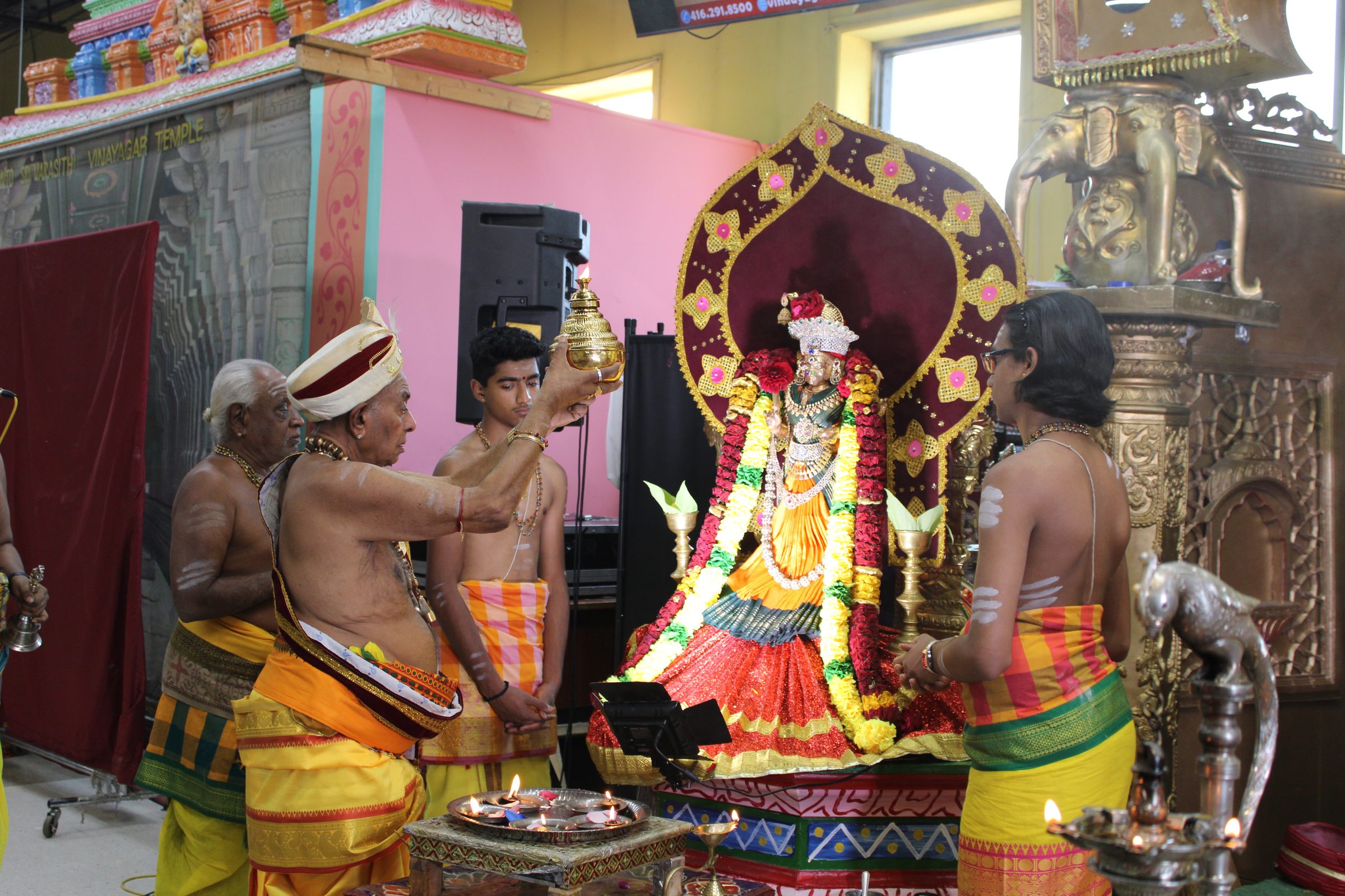 Festival 2024 photo