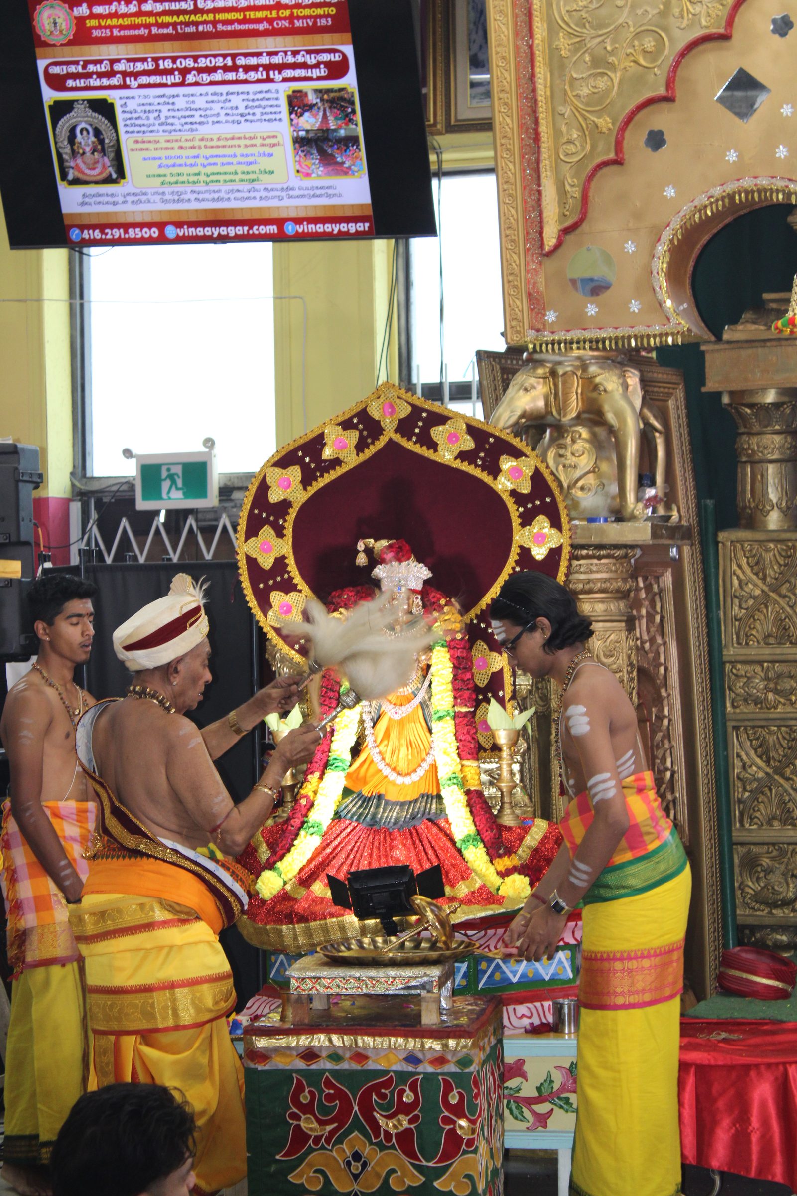 Festival 2024 photo