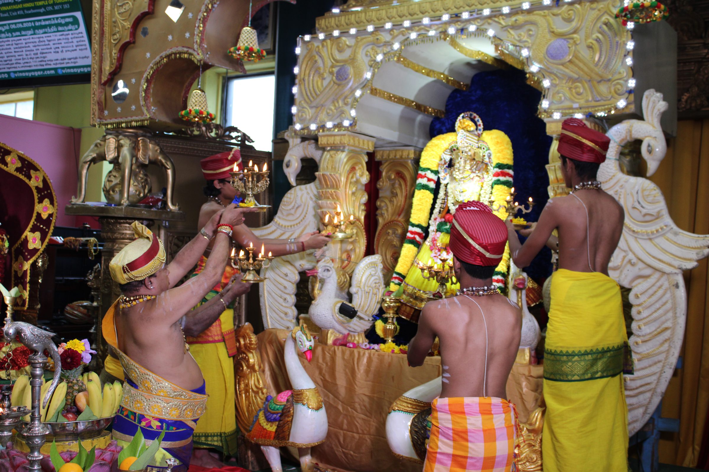Festival 2024 photo