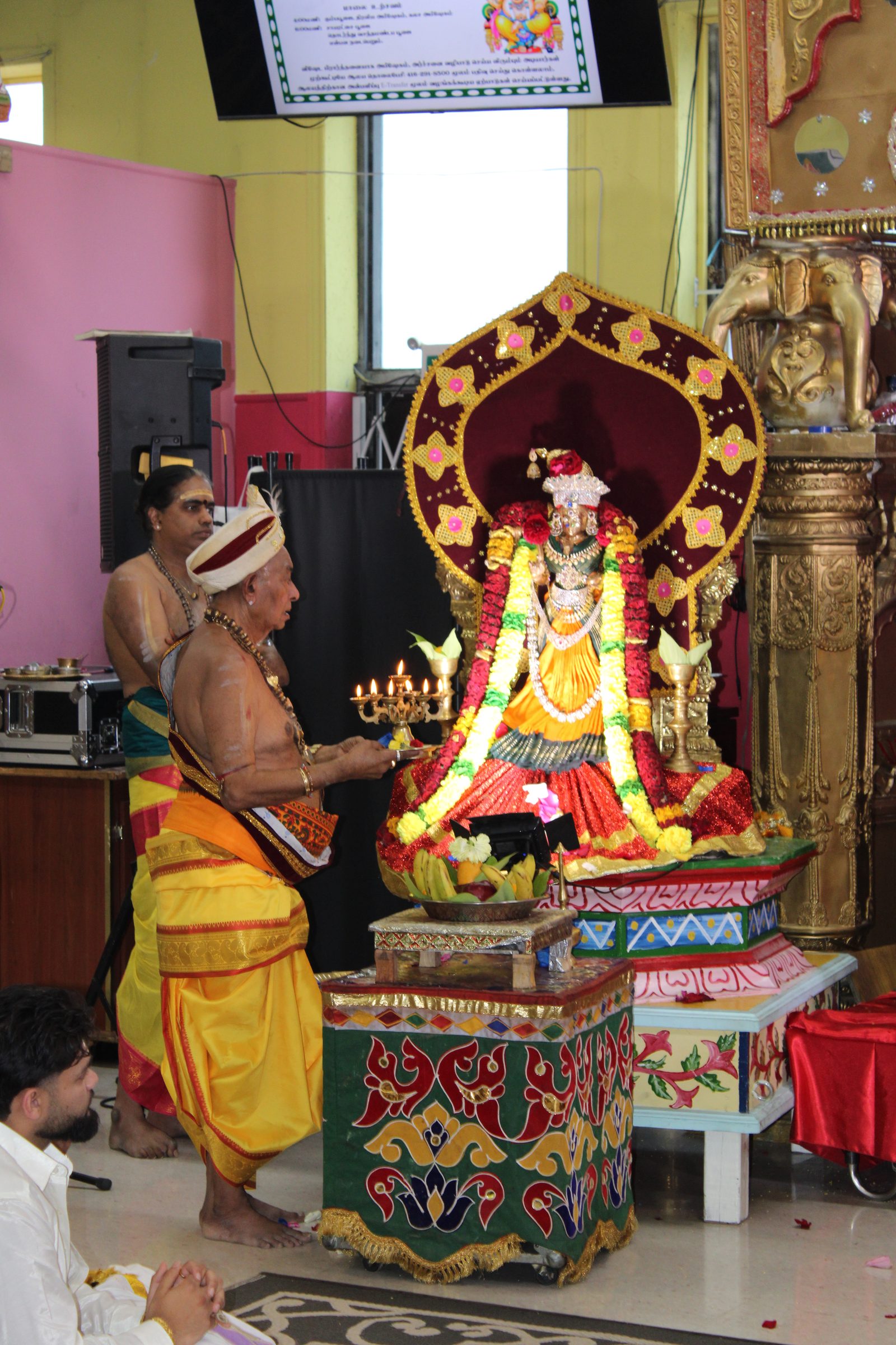 Festival 2024 photo